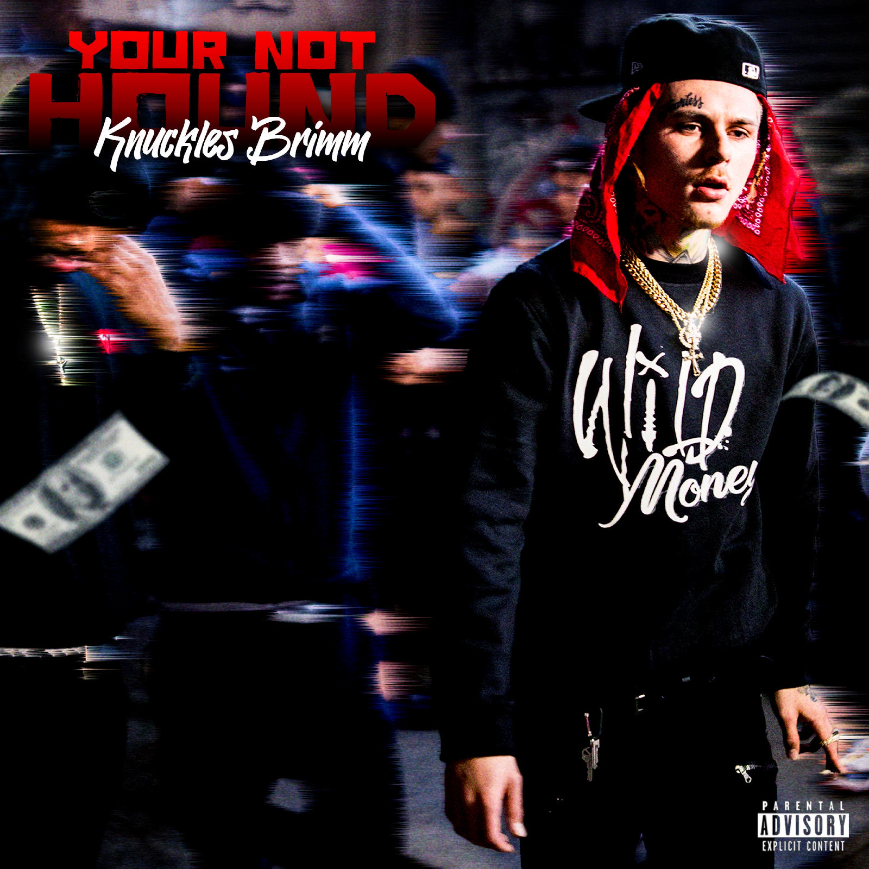 Your Not Hound artwork