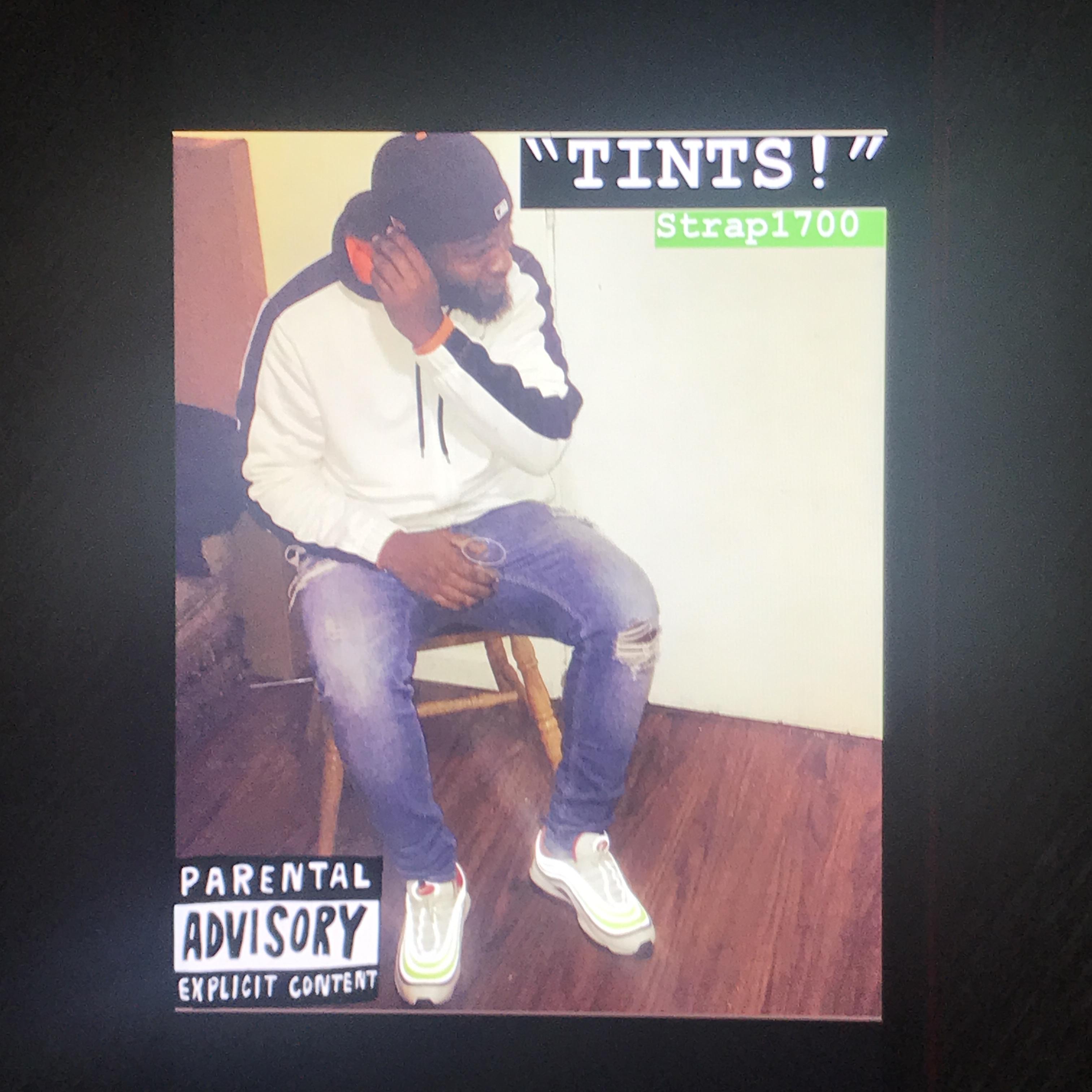 TINTS! by Strap1700 cover art