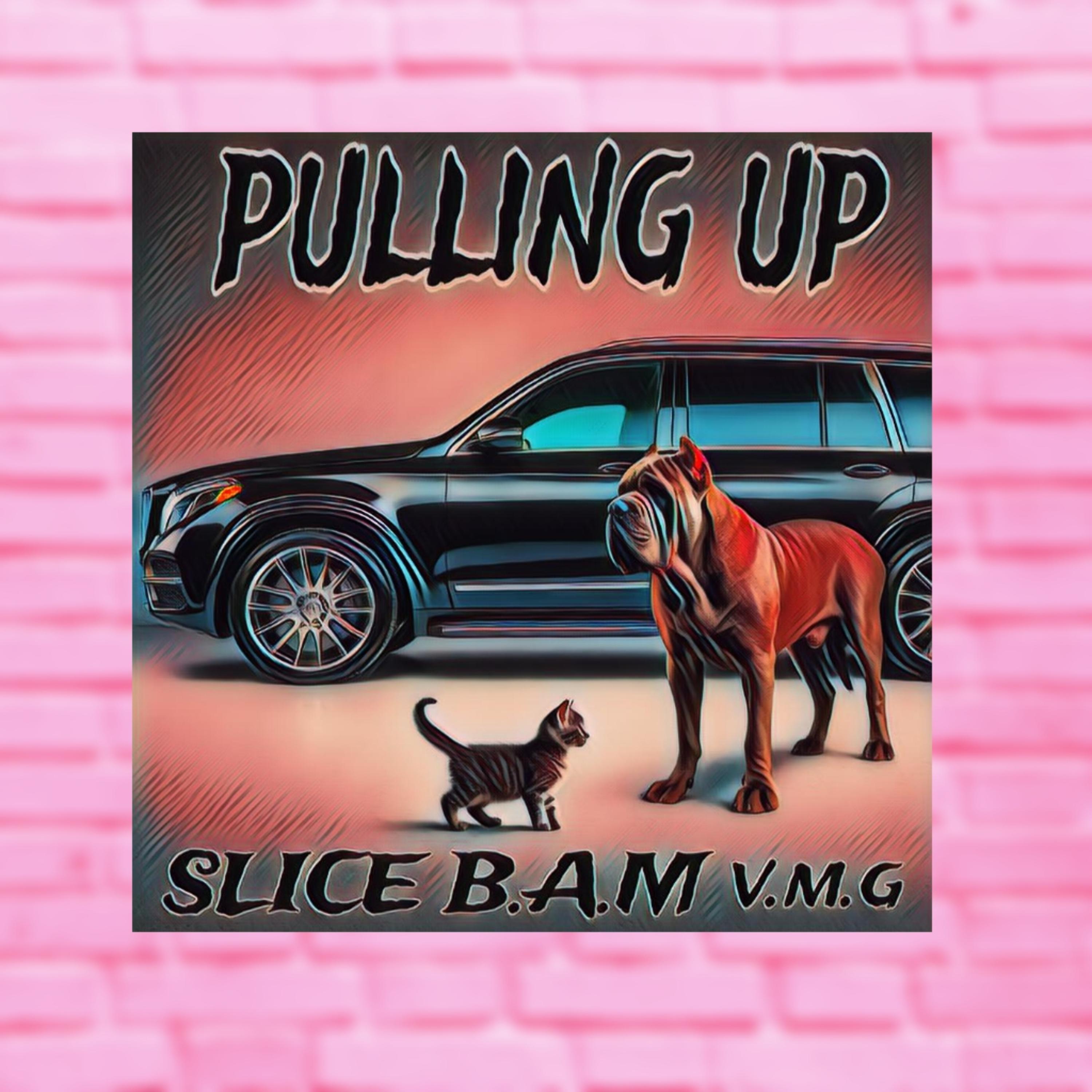 PULLING UP artwork