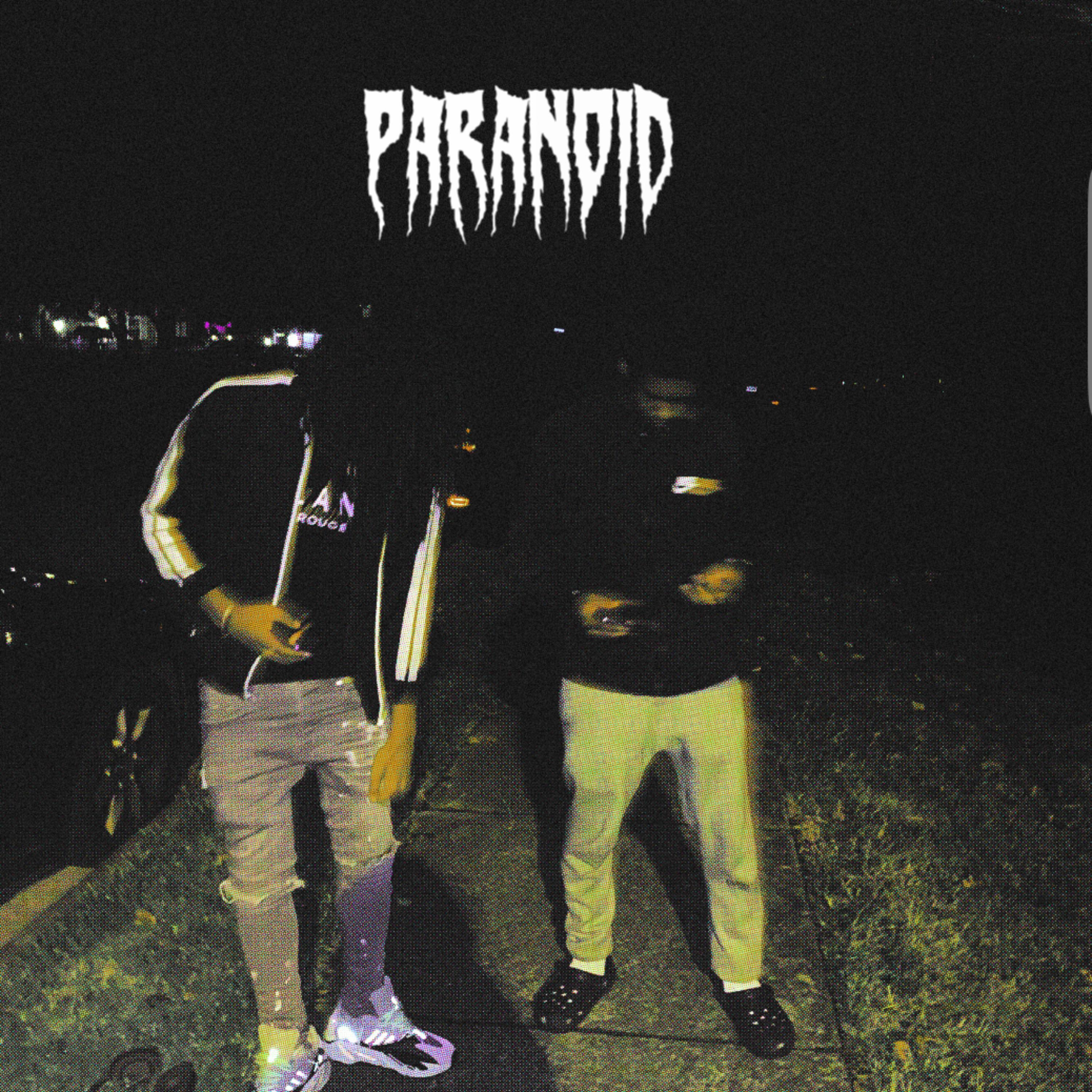 Paranoid artwork