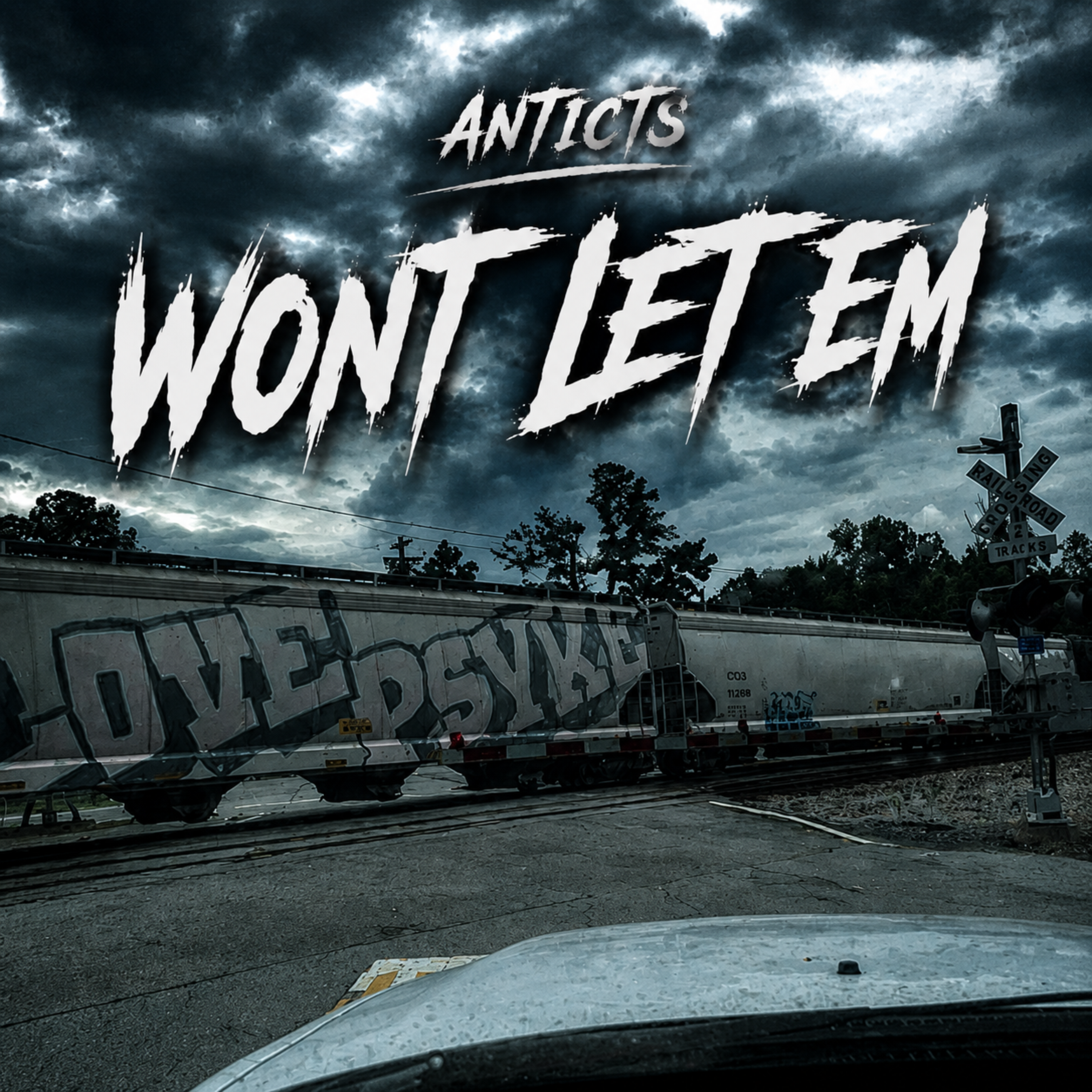 Wont Let Em by Anticts cover art