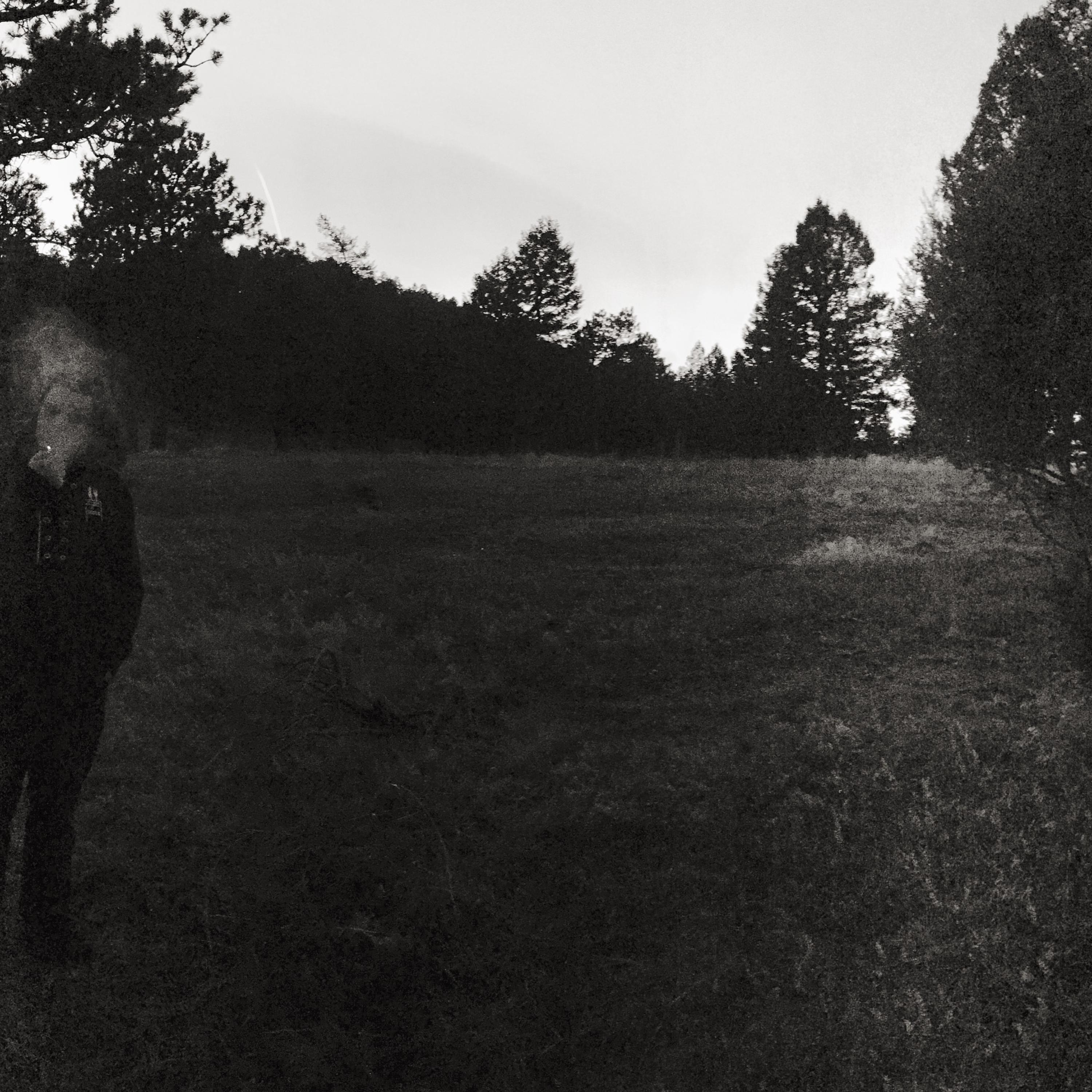 Inner Demons artwork