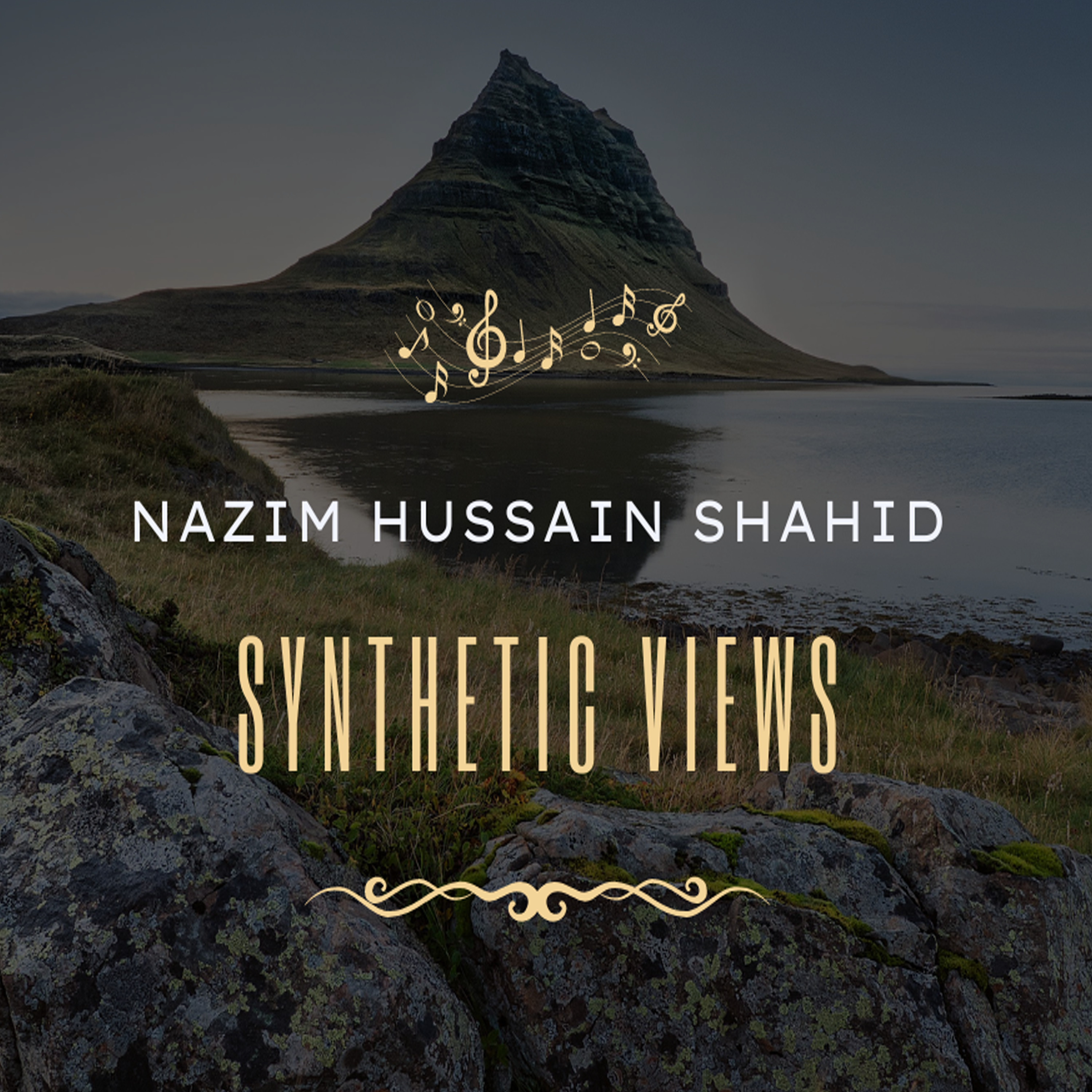 Synthetic Views artwork