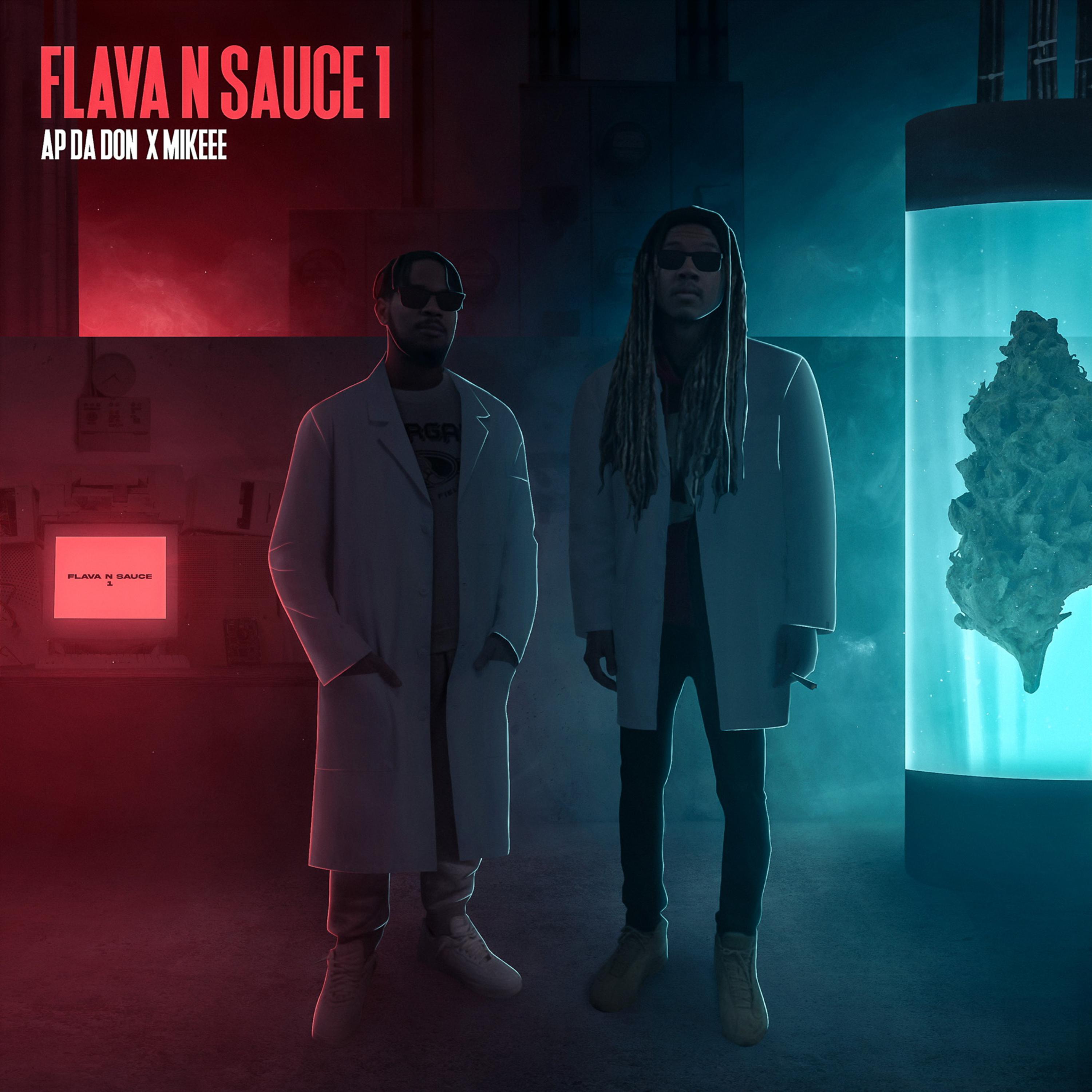 Flava N Sauce 1 artwork