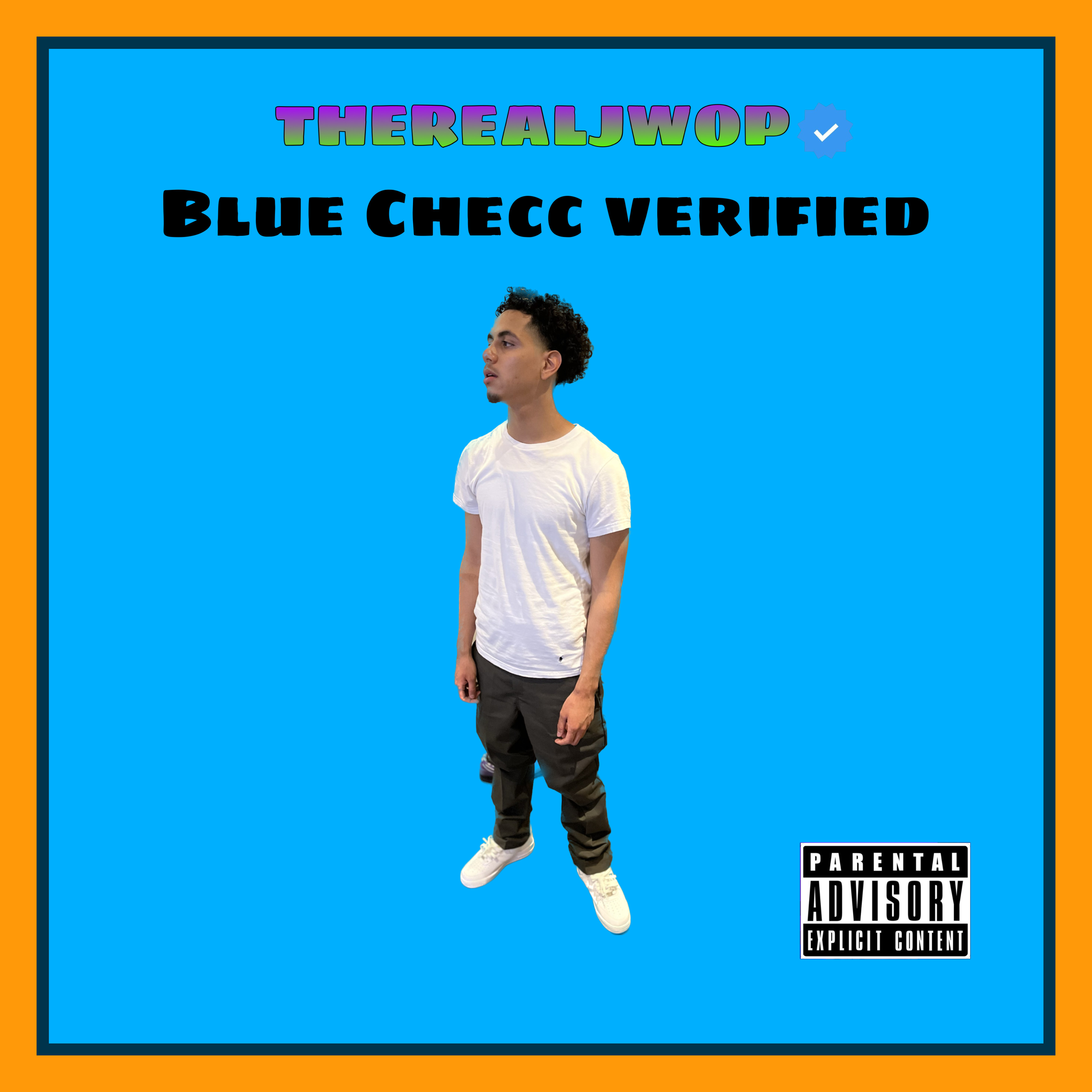 Blue Checc Verified artwork