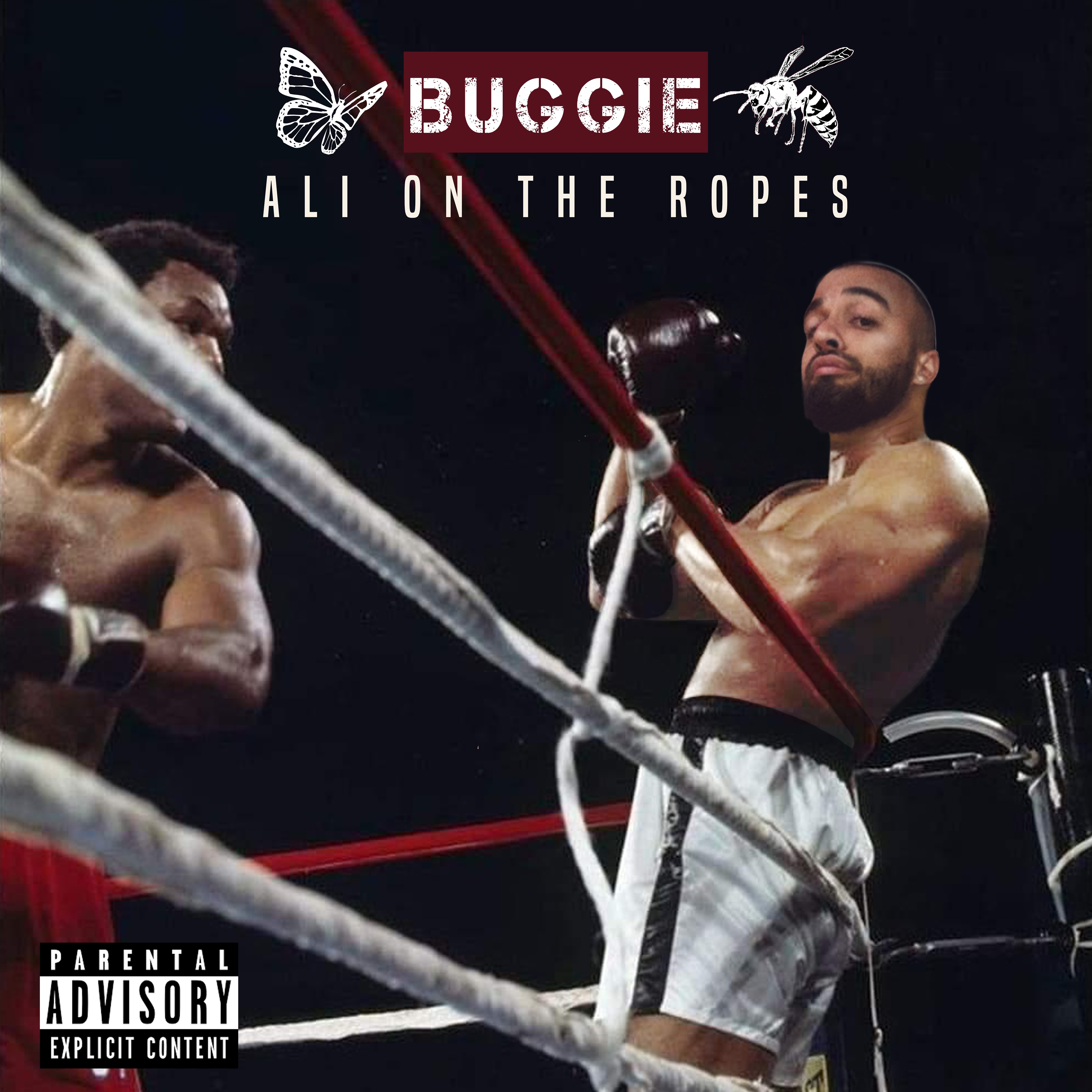 Ali on the Ropes artwork