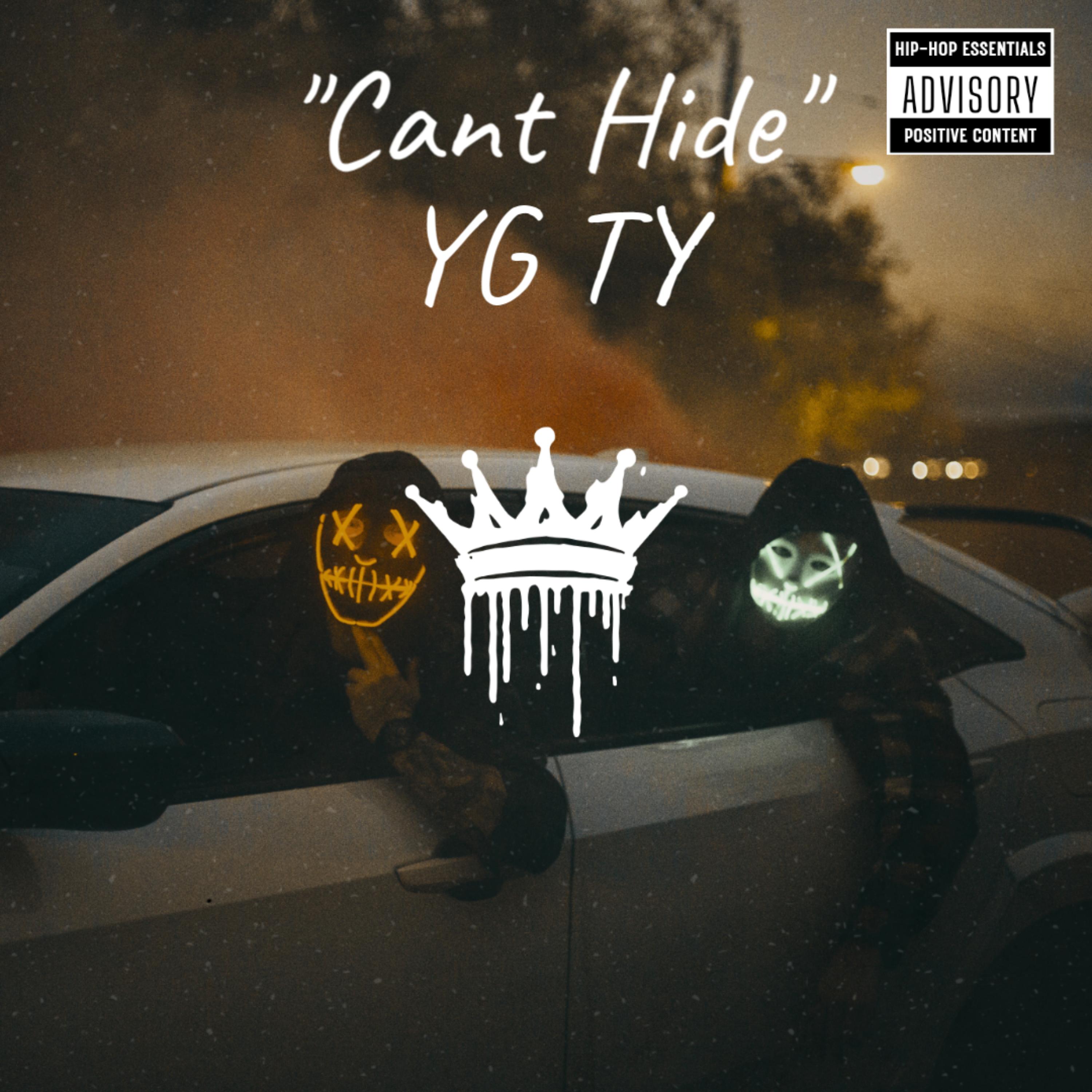Can't Hide artwork