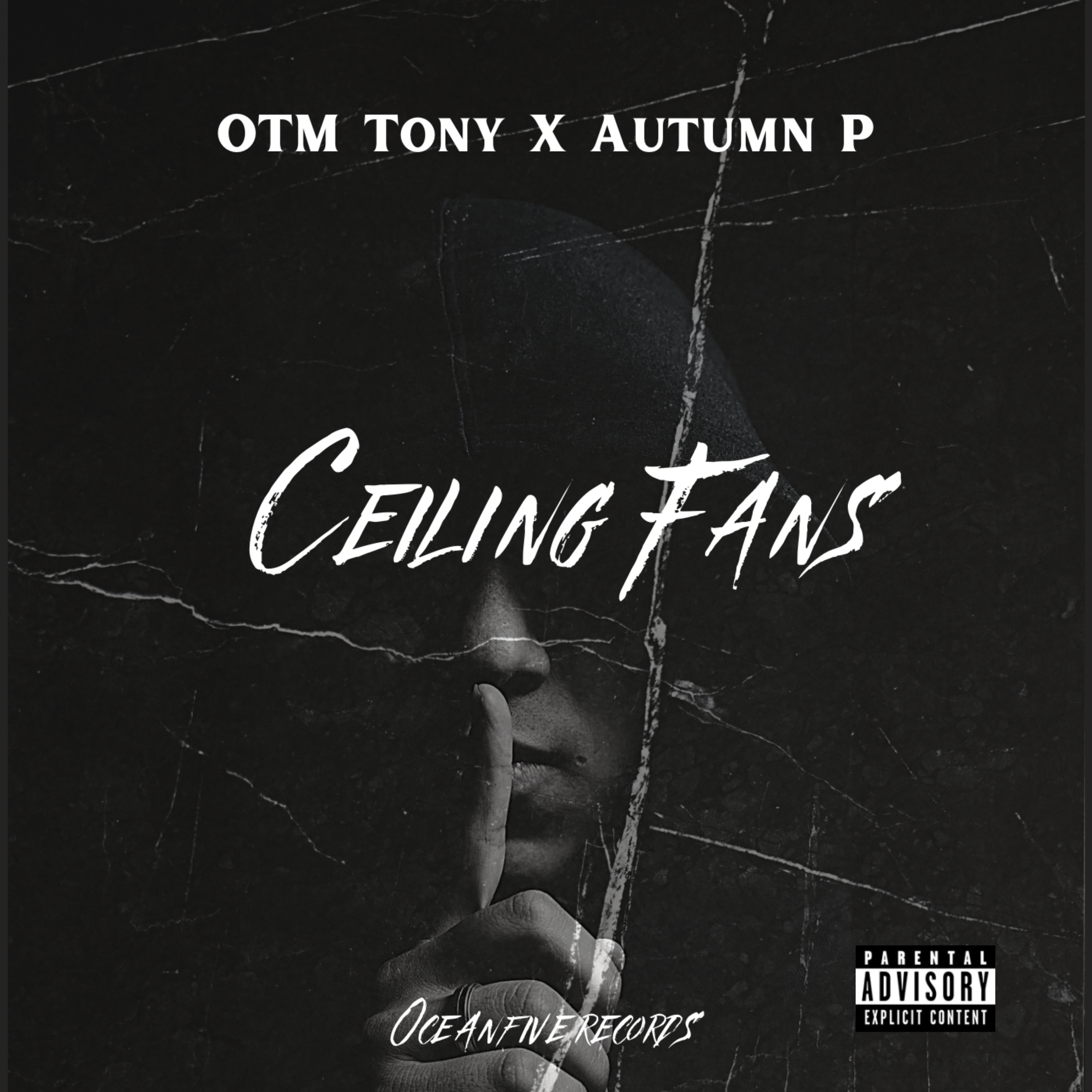 Ceiling Fans artwork