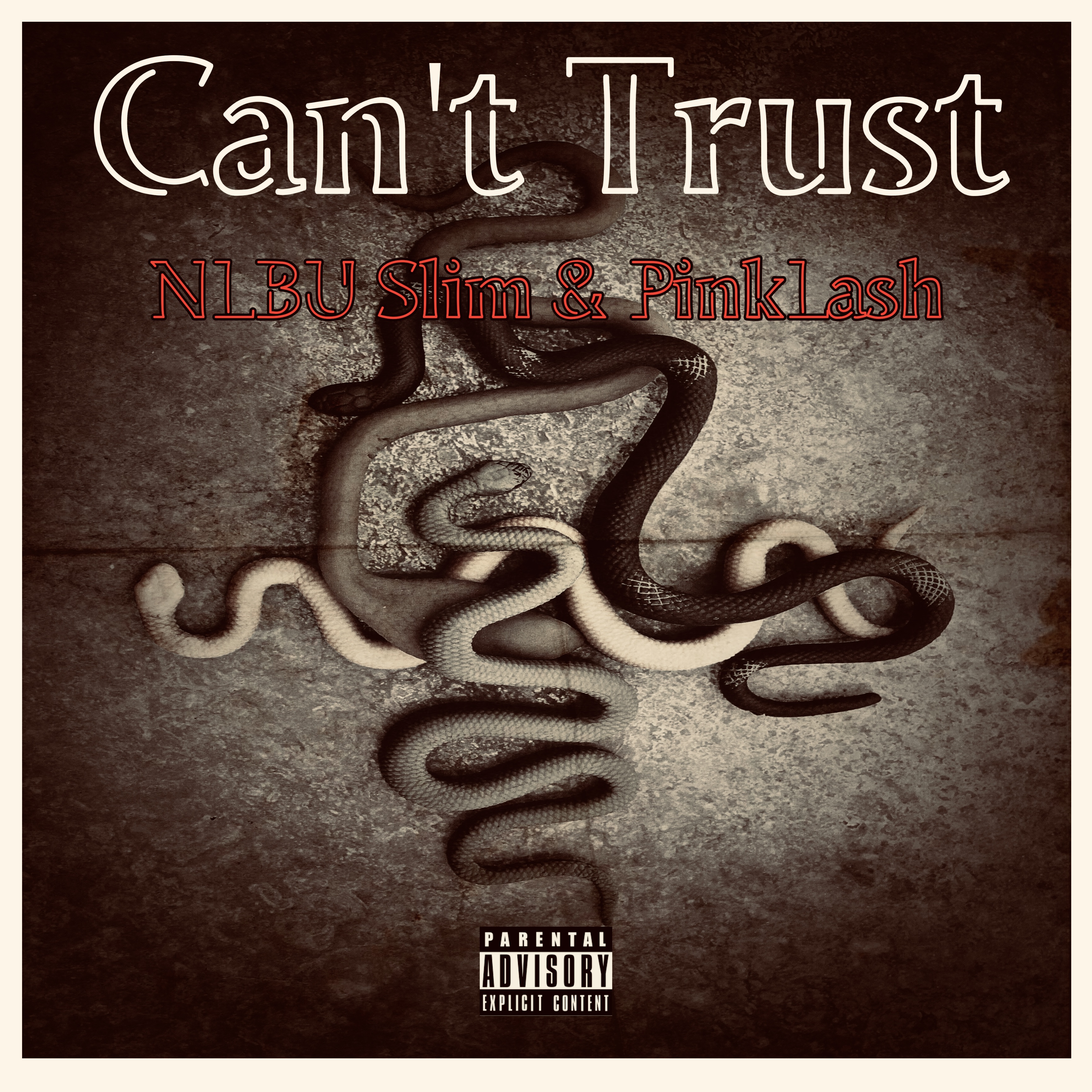 Can't Trust artwork