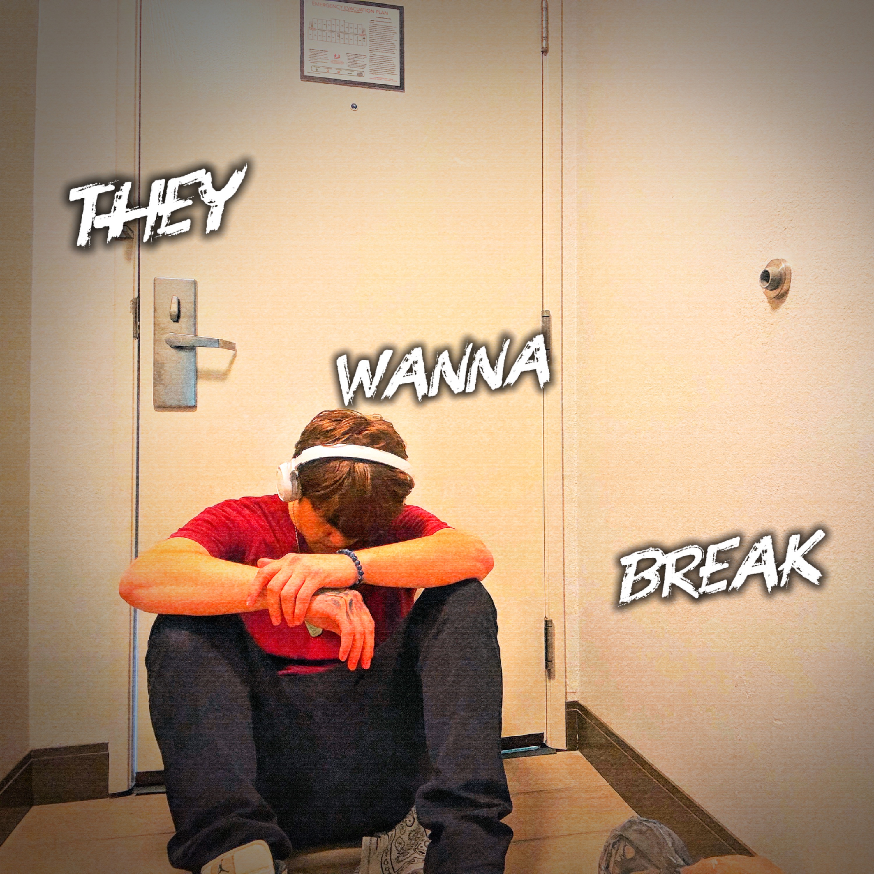 They Wanna Break by TWIN CHXRLI cover art
