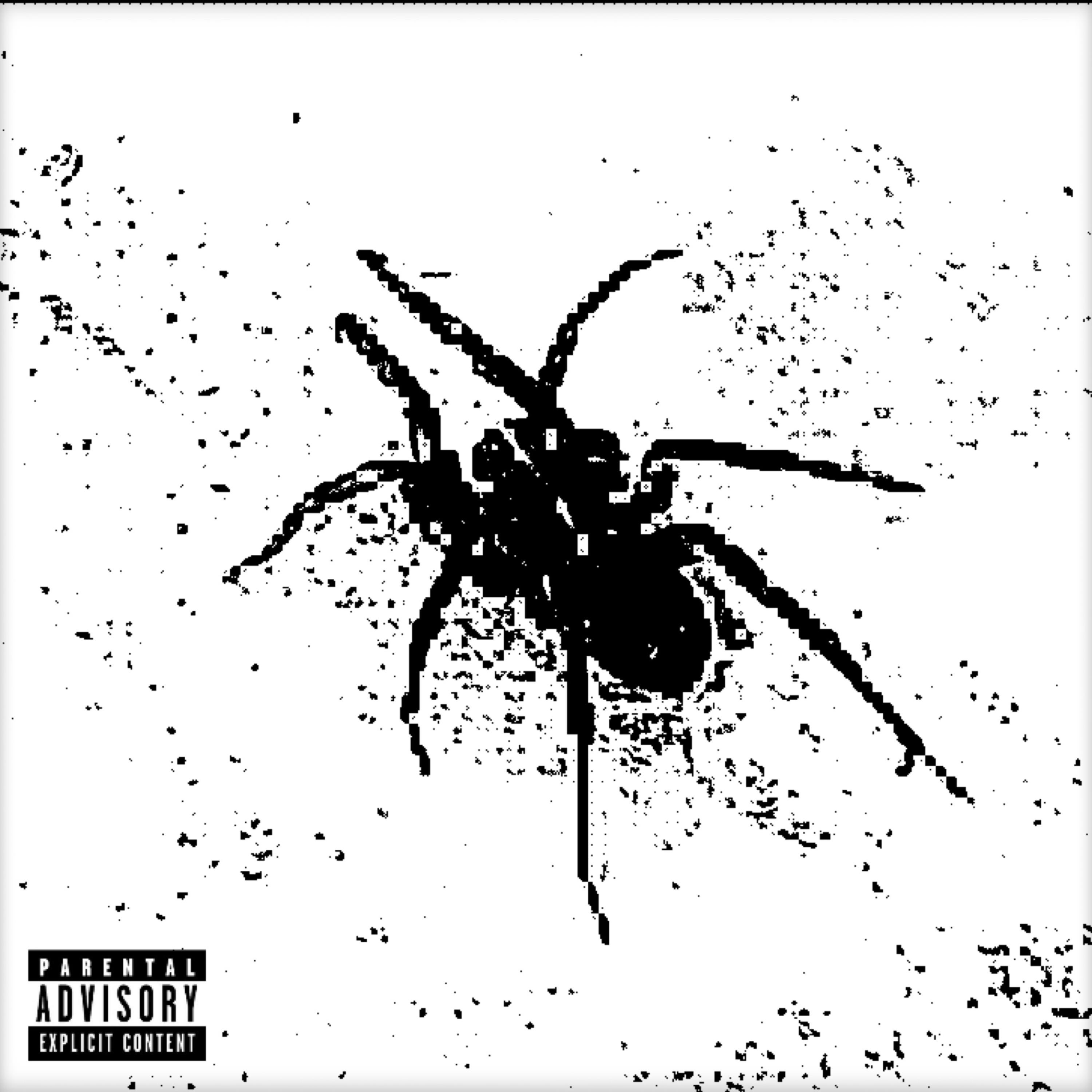 Spider artwork