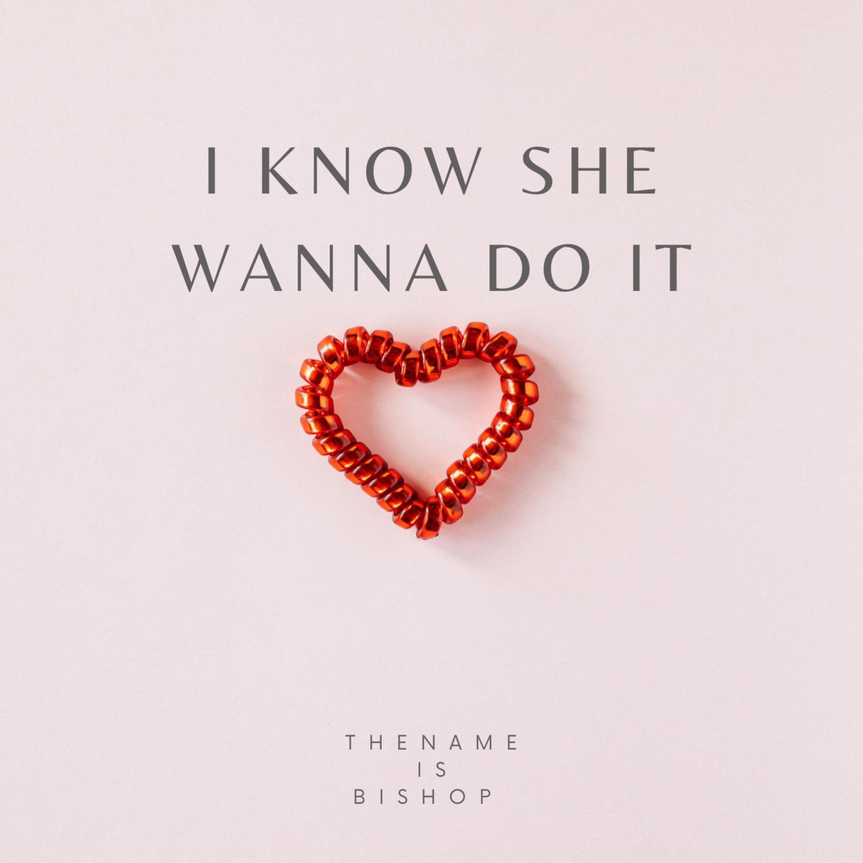 I Know She Wanna Do It artwork