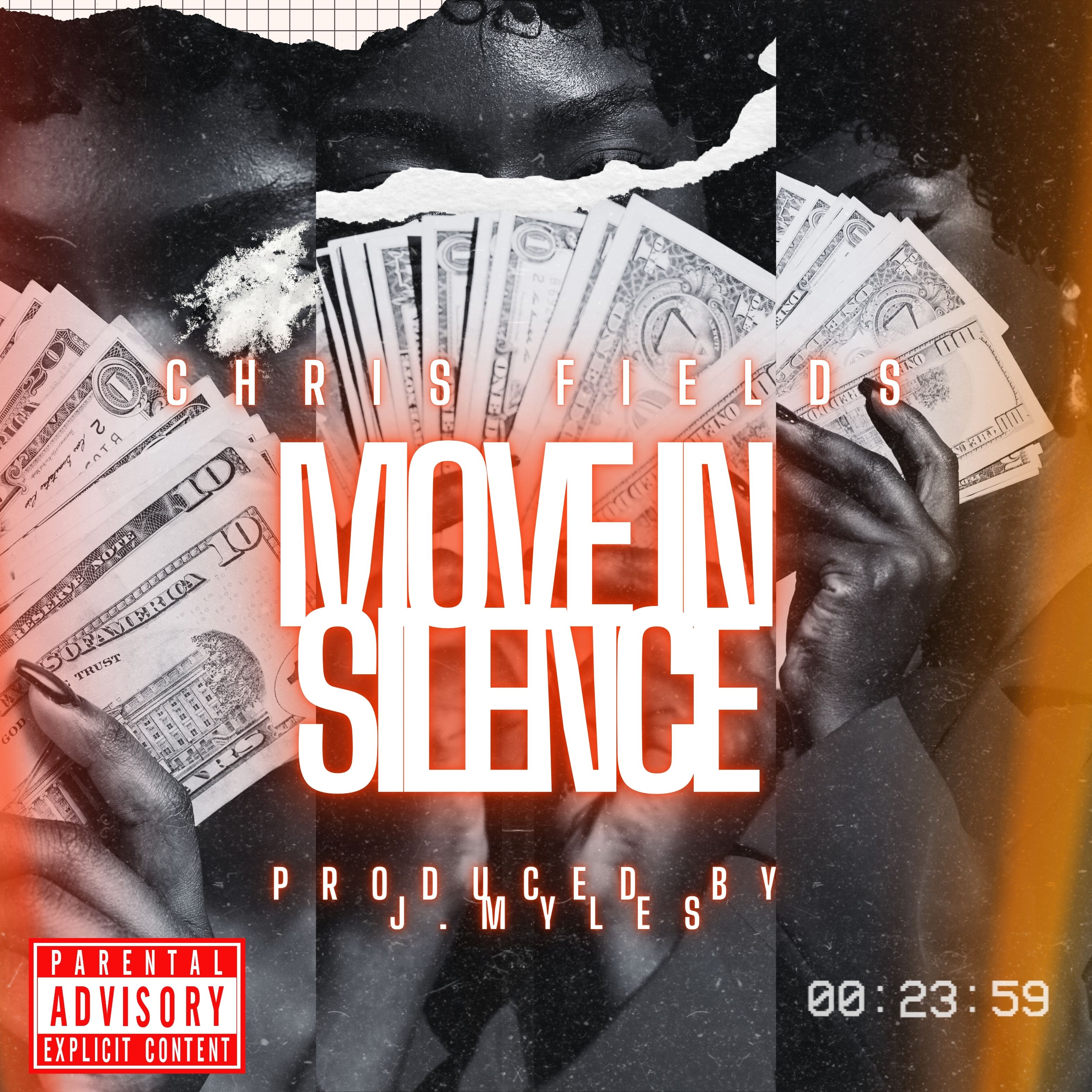 MOVE IN SILENCE artwork
