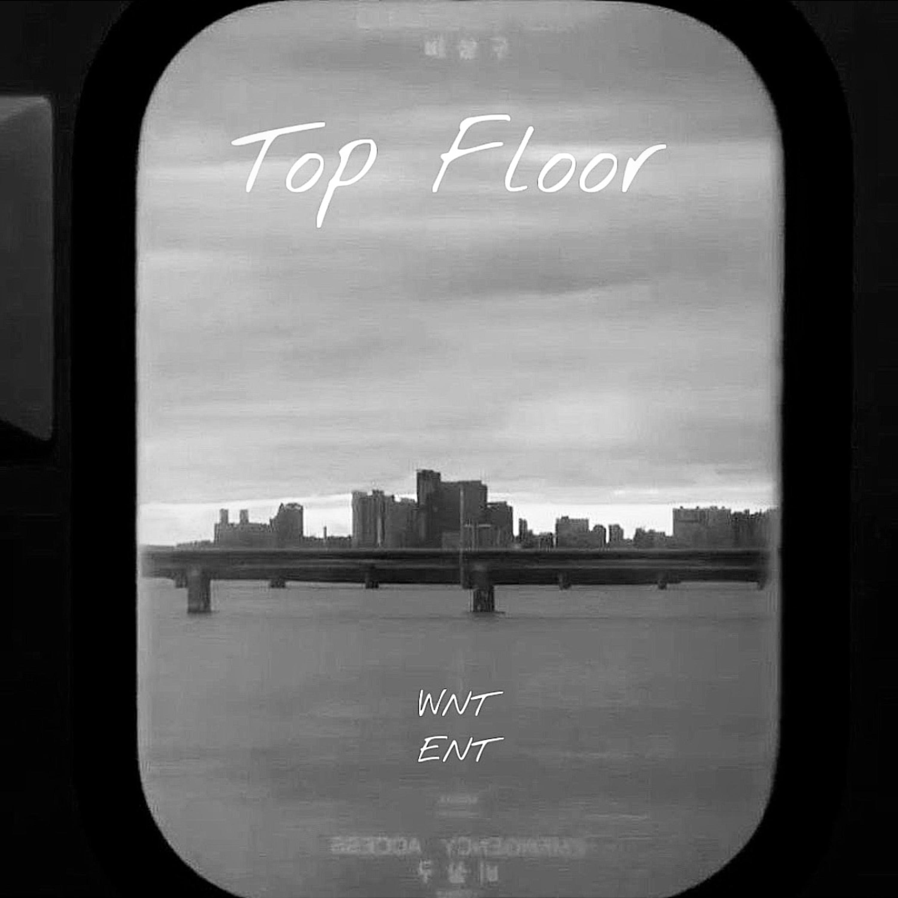 TOP FLOOR ( MIXES ) artwork