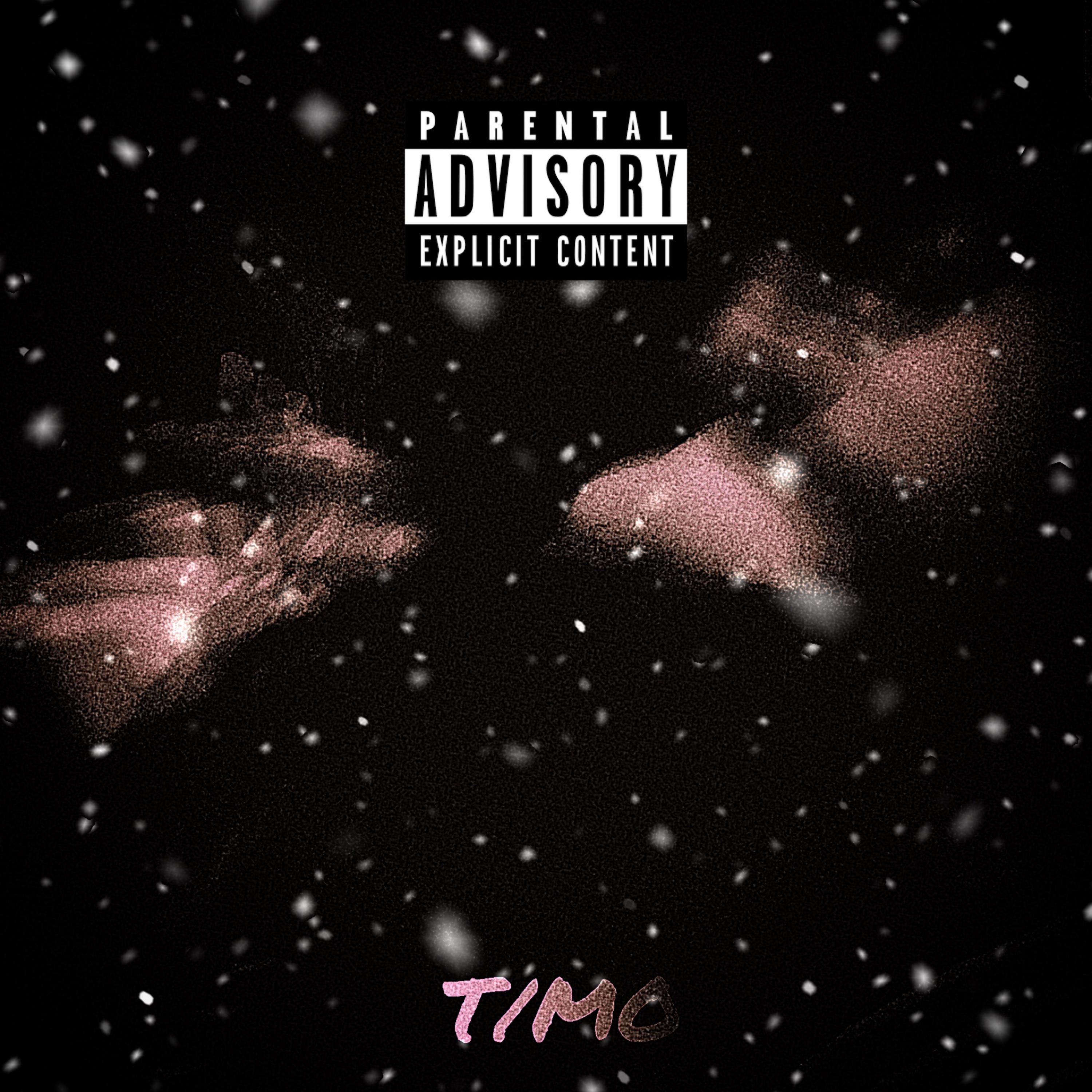 COLD HEARTED SOLIDER artwork