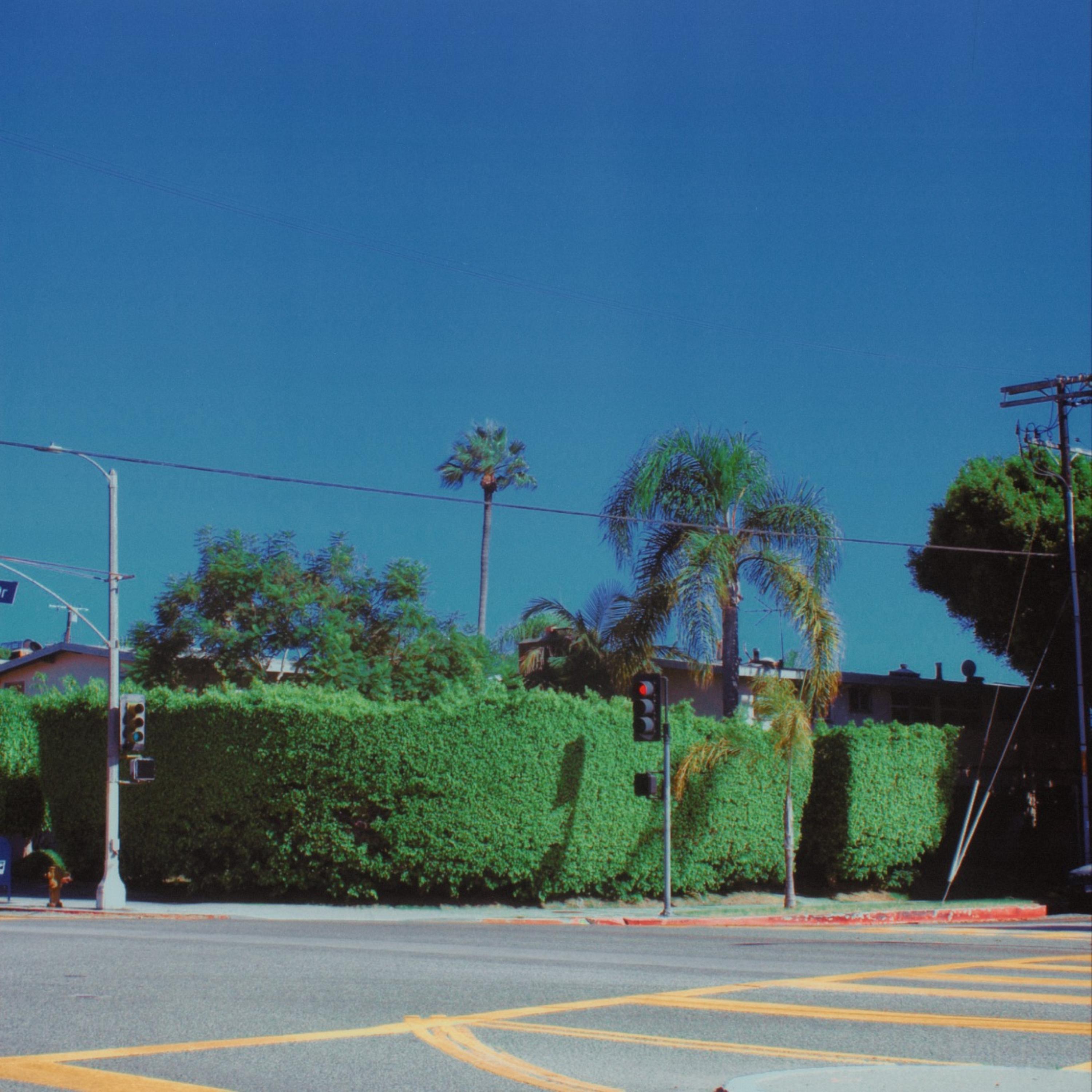 DON’T LOOK STRAIGHT! - Live at The Woodbridge, Los Angeles, California, 8/29/25 artwork