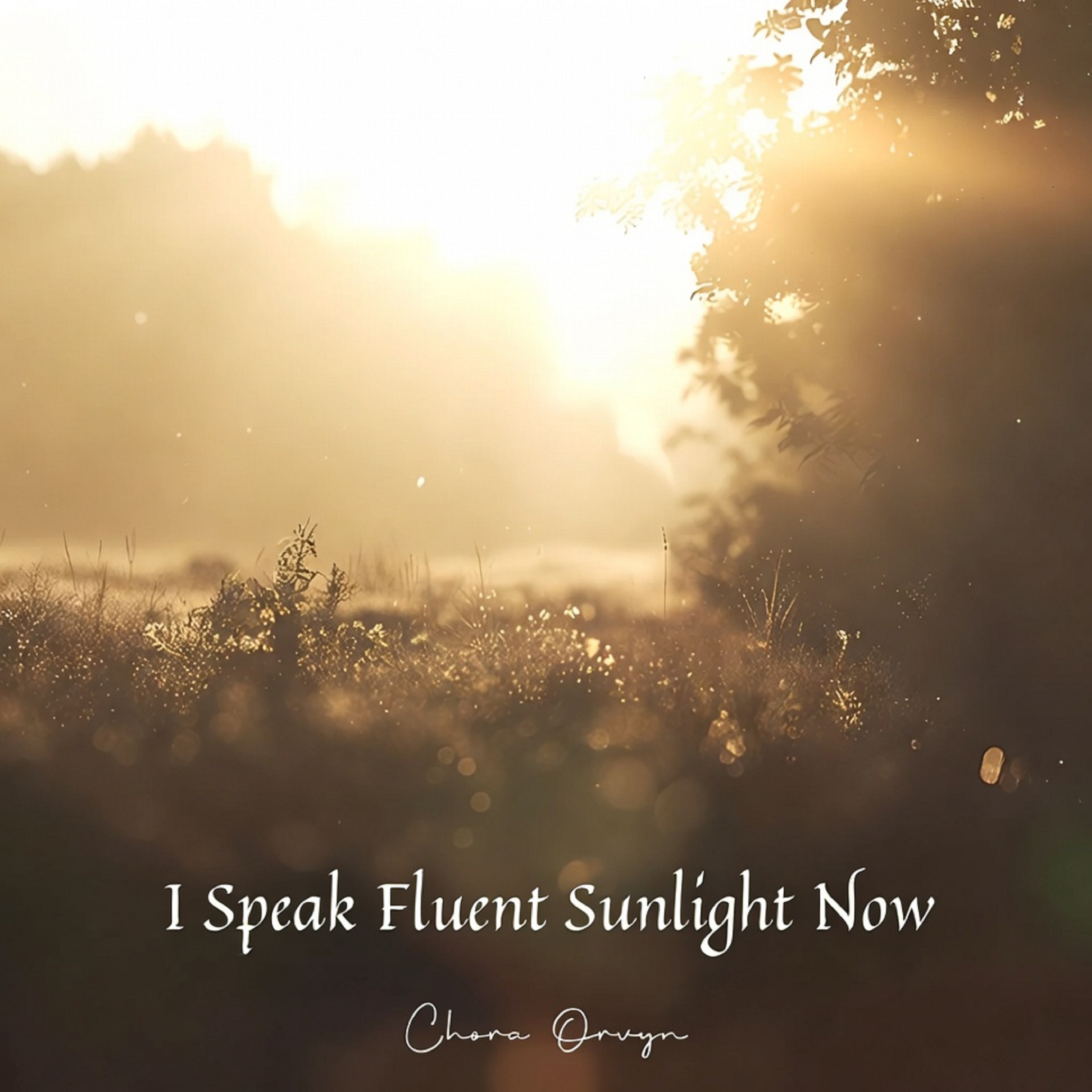 I Speak Fluent Sunlight Now artwork