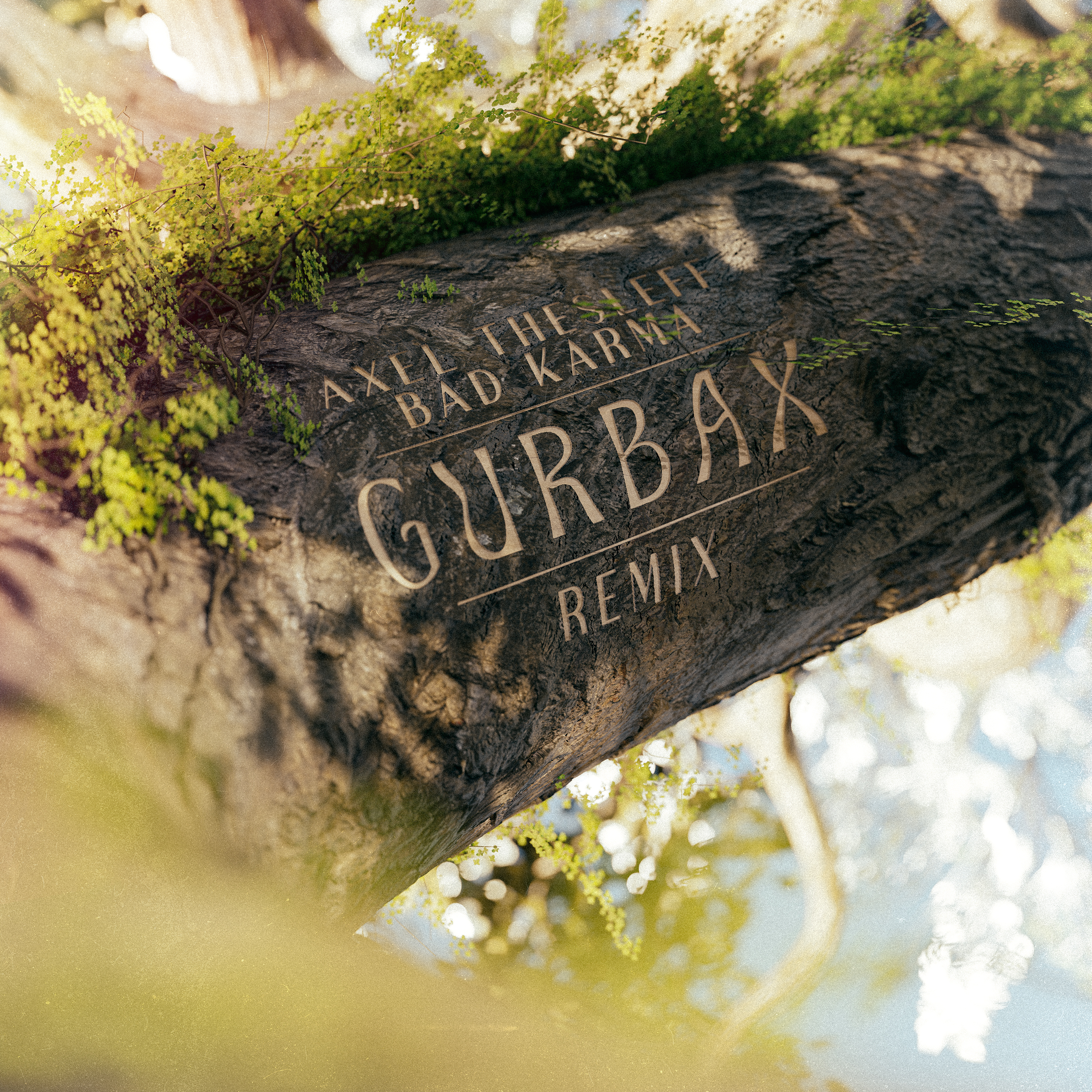 Bad Karma (Gurbax Remix) artwork