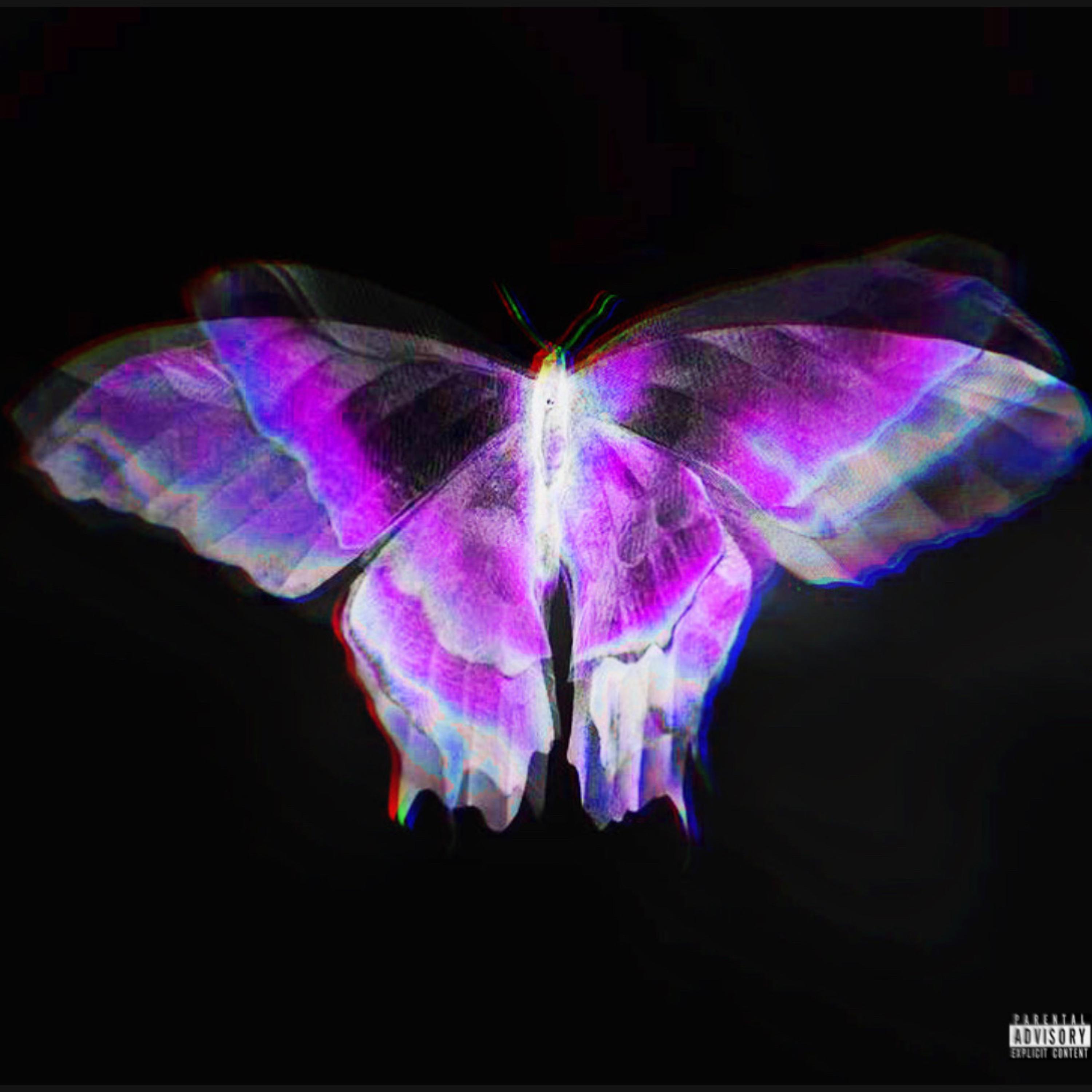 Butterfly artwork