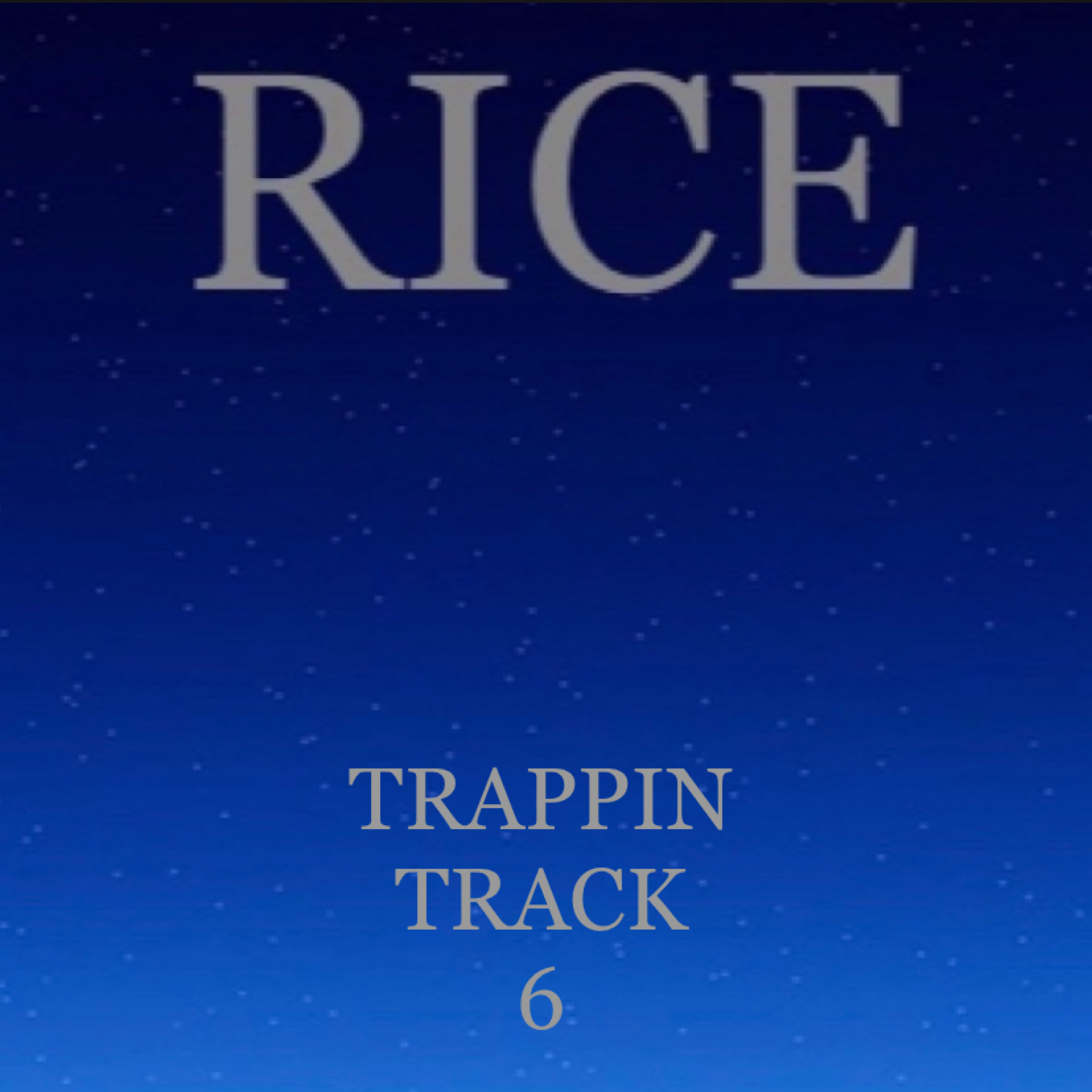 Trappin Track 6 artwork