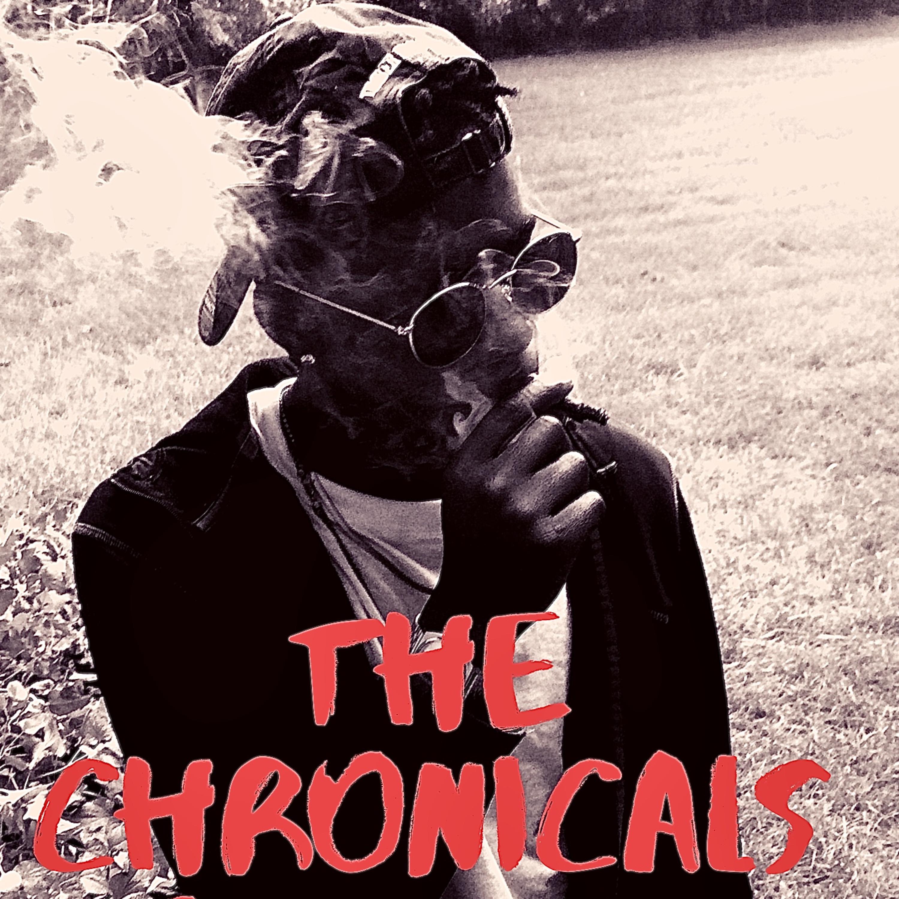 The Chronicals Of Perc Pt.1 artwork