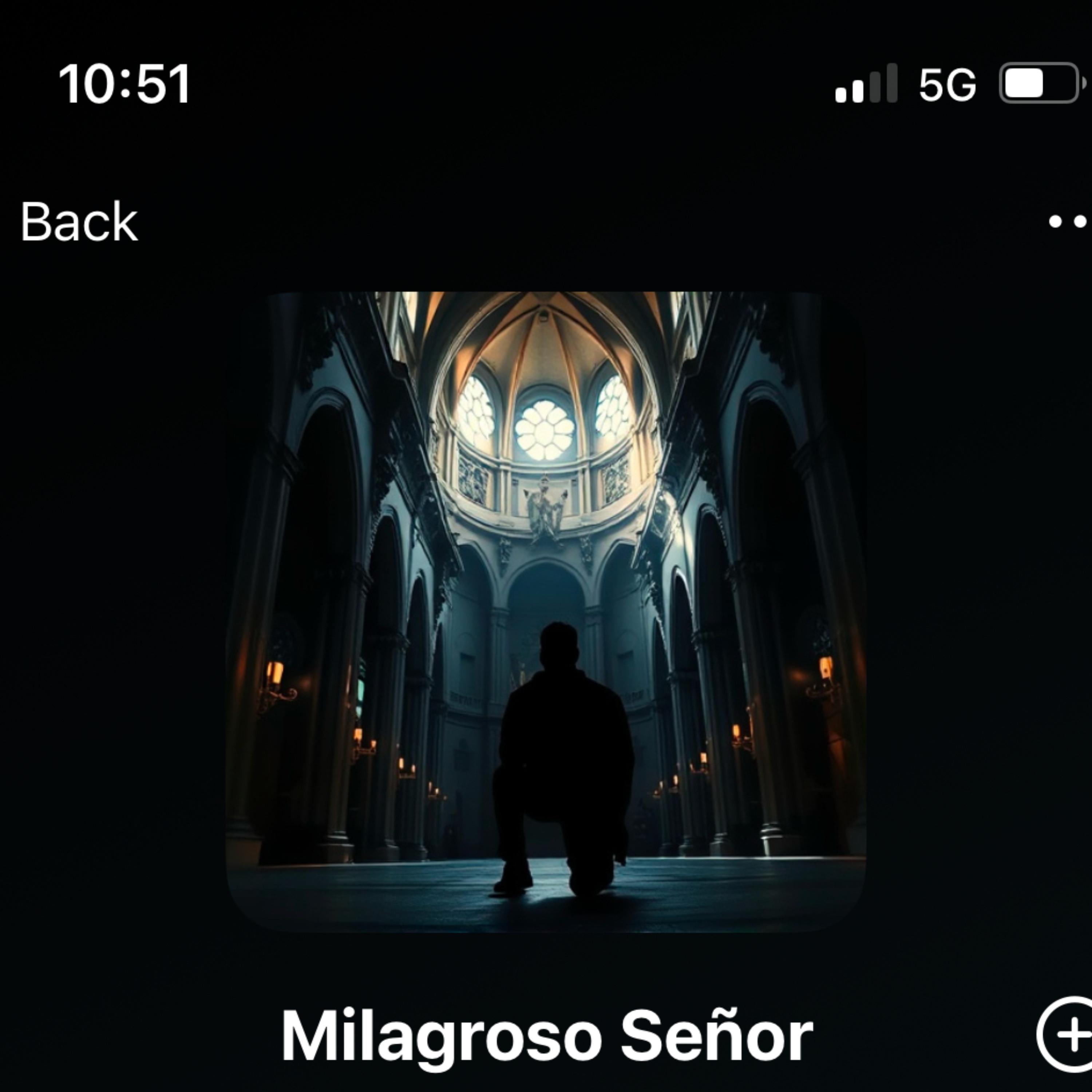 Milagroso Señor artwork