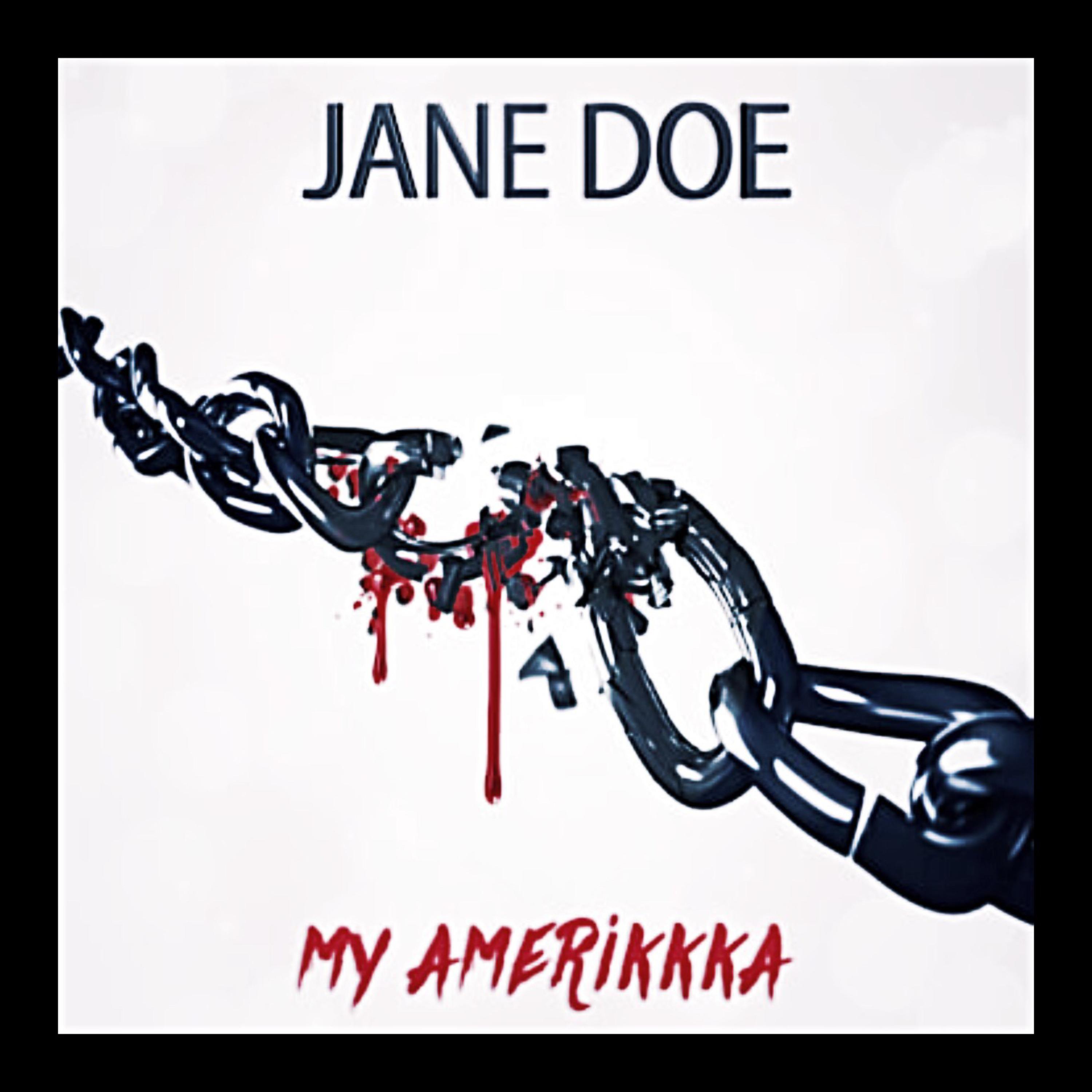 My Amerikkka artwork