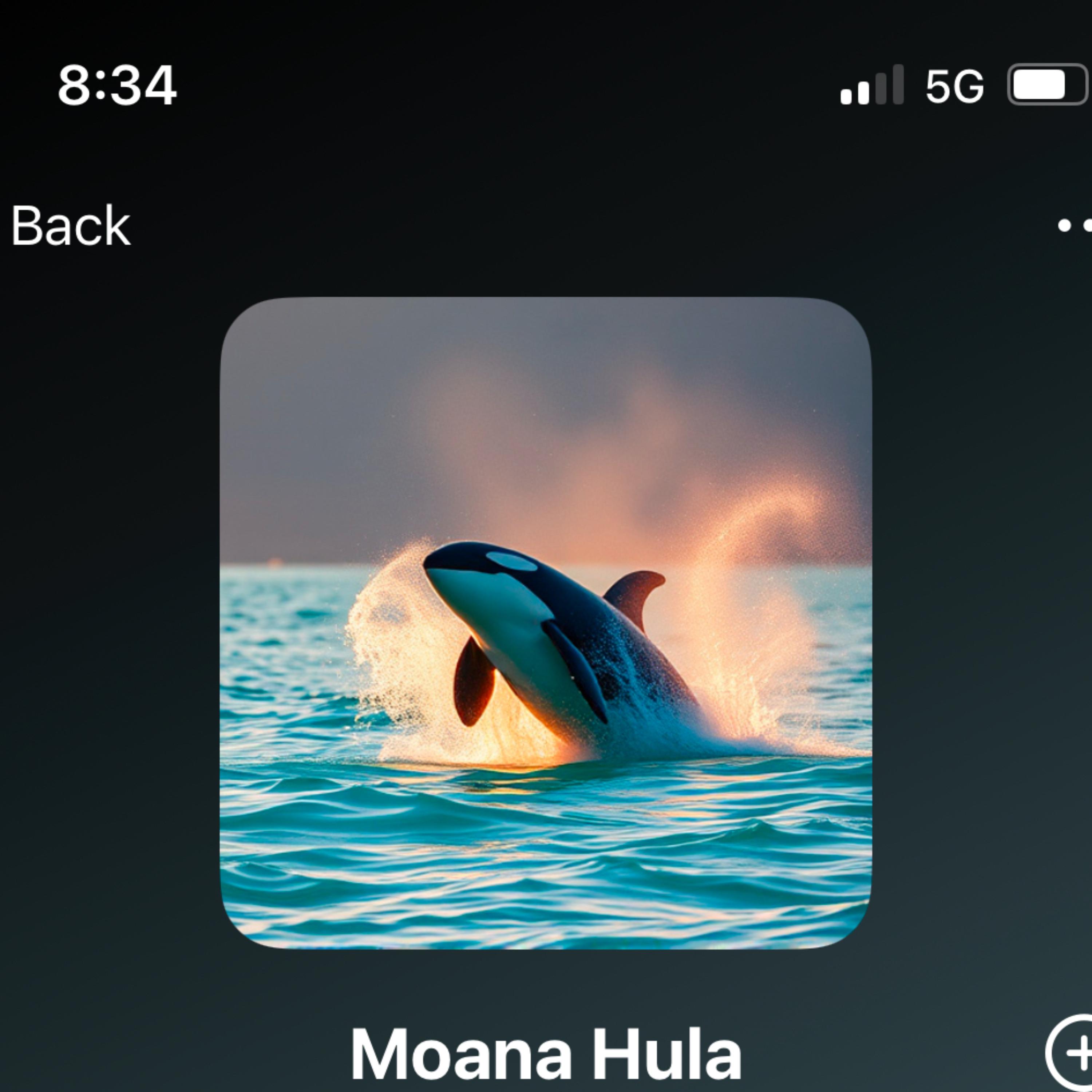 Moana Hula artwork