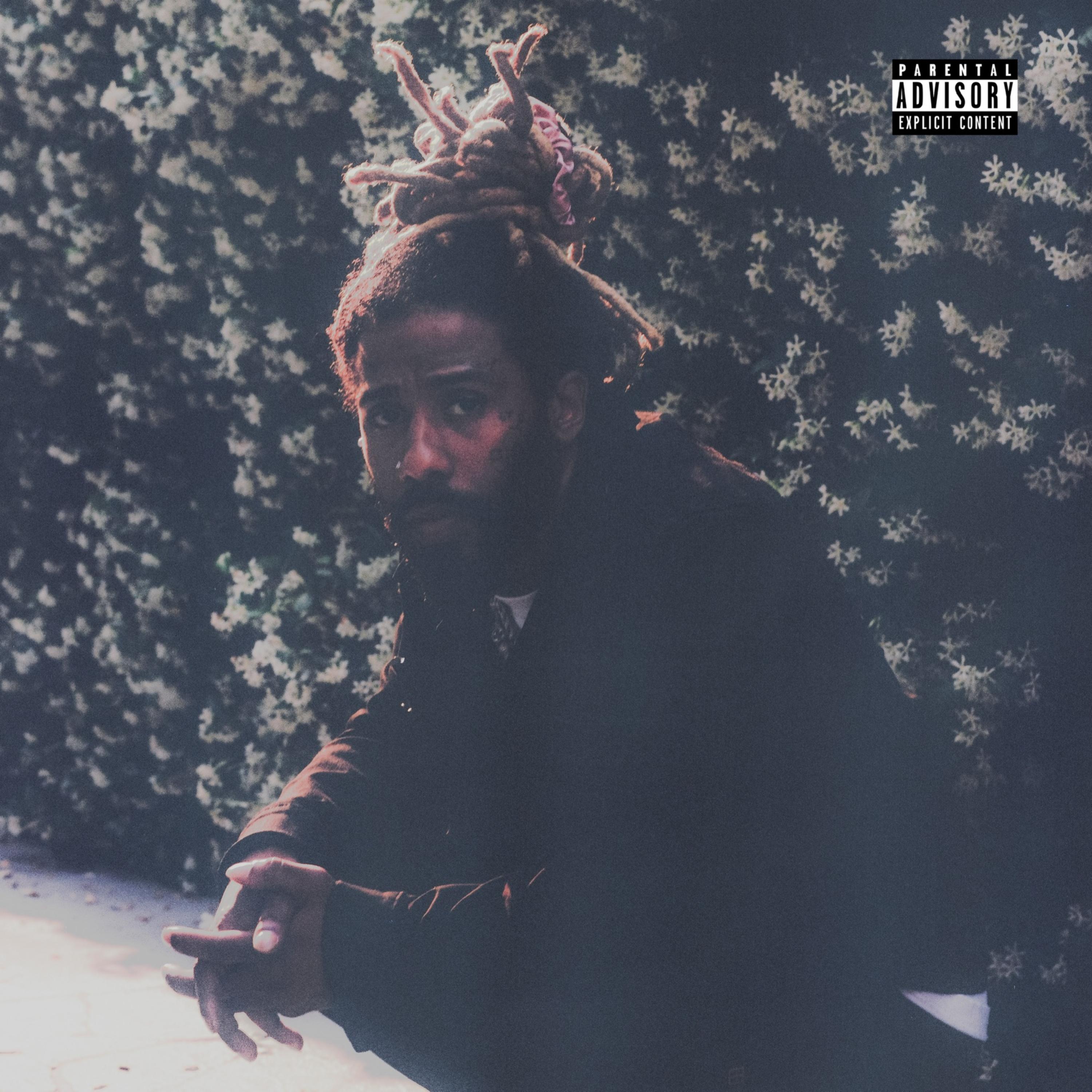 $pitta artwork