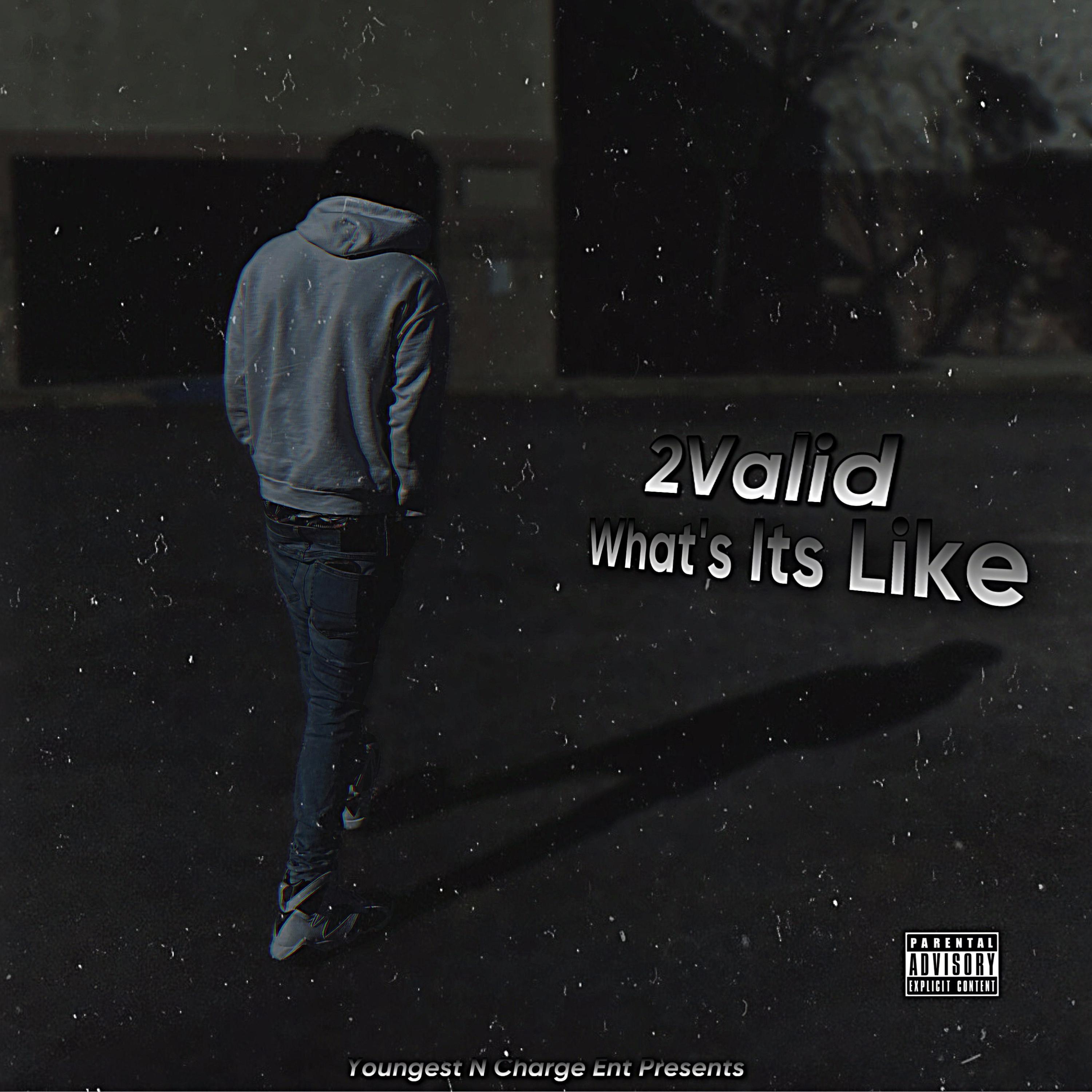 What Its Like (Freestyle) artwork