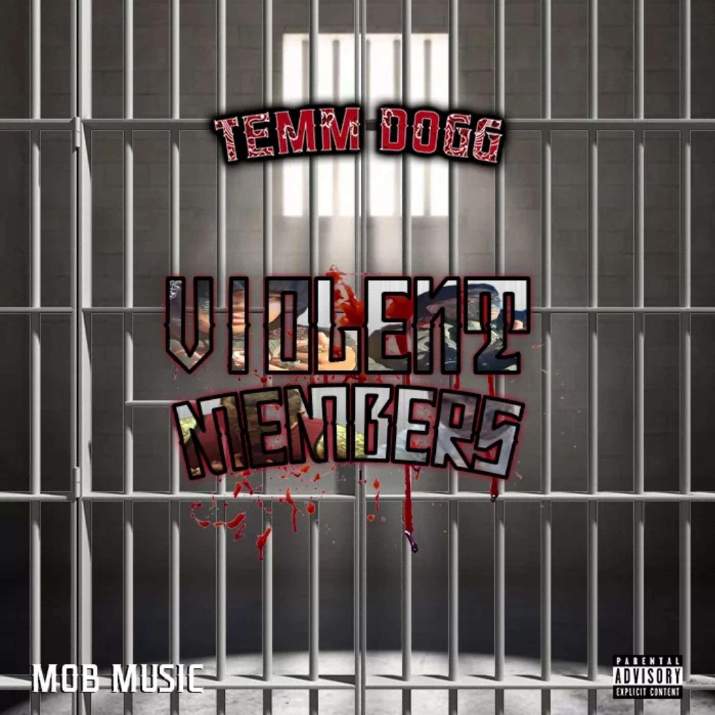 VIOLENT MEMBERS  artwork