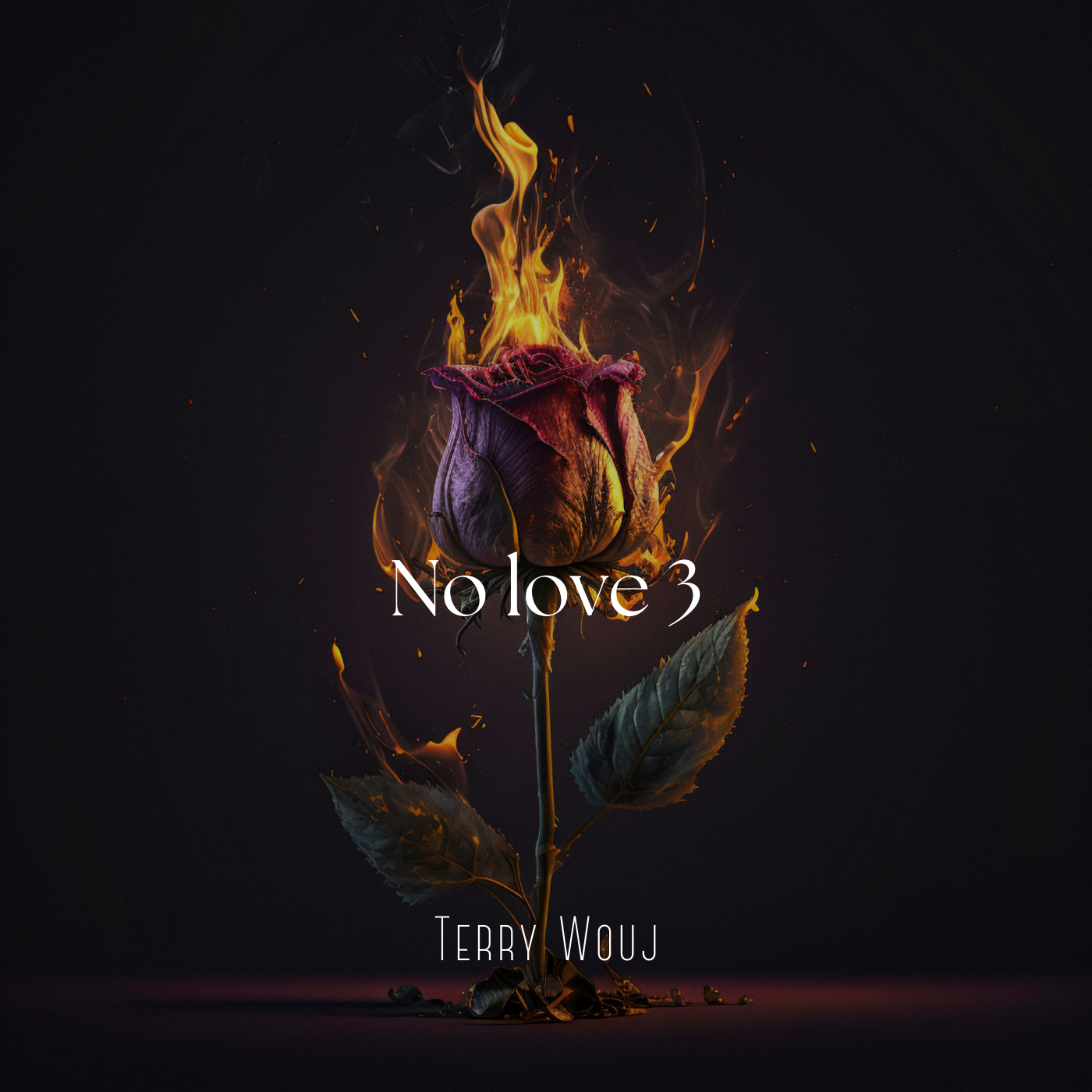 No Love 3 artwork
