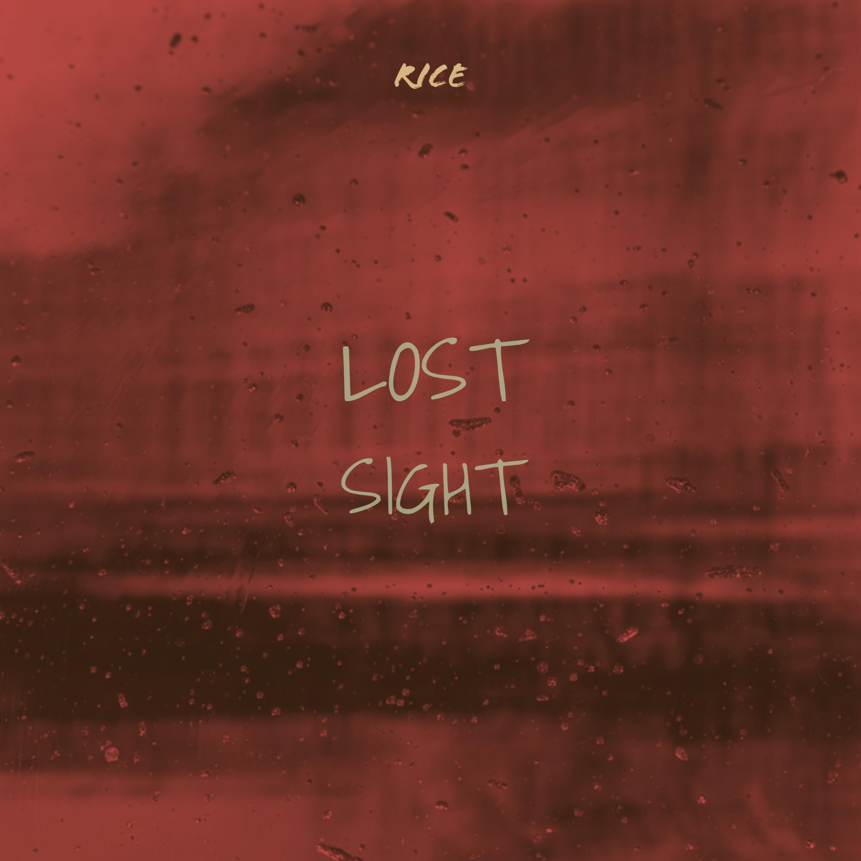 Lost Sight artwork