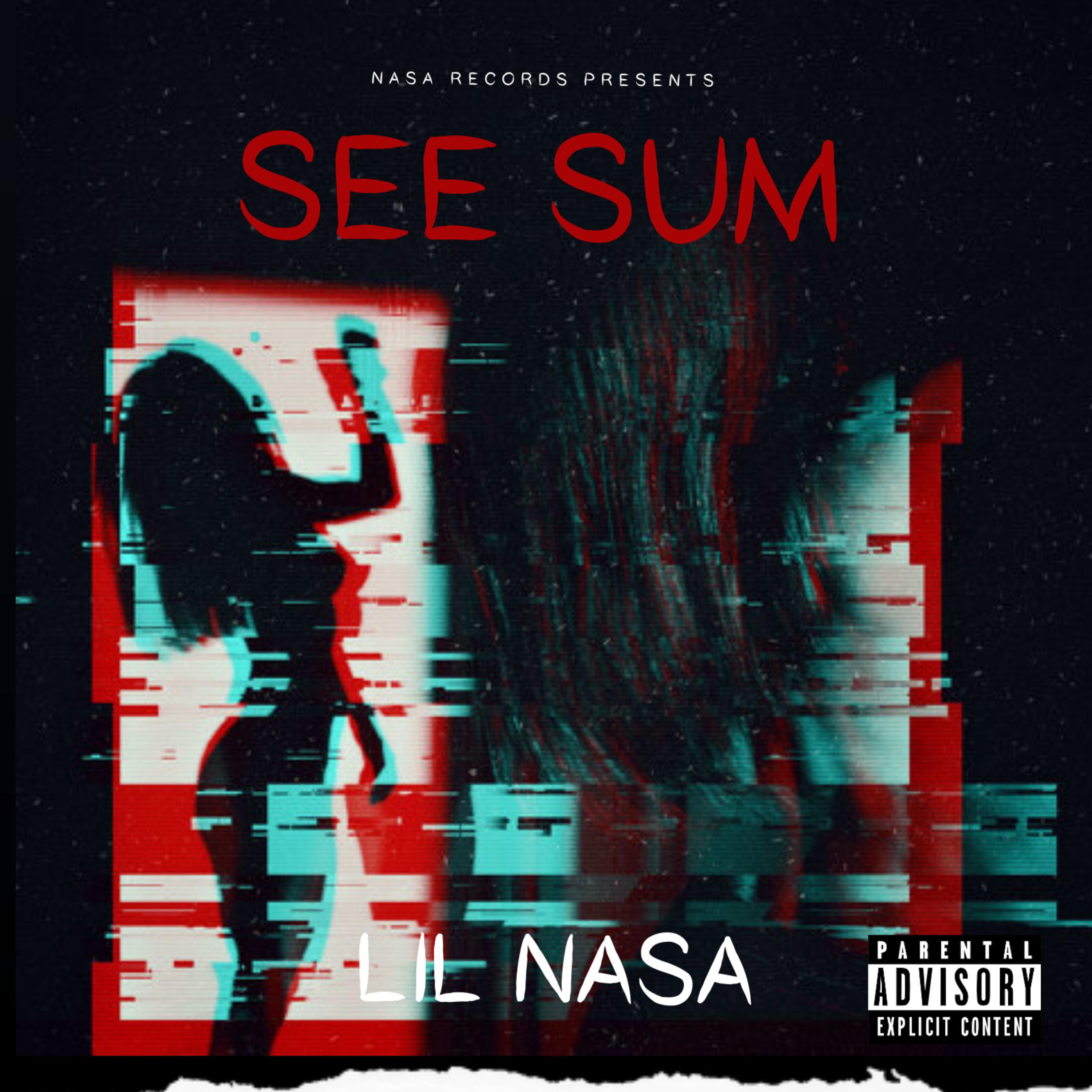 SEE SUM artwork