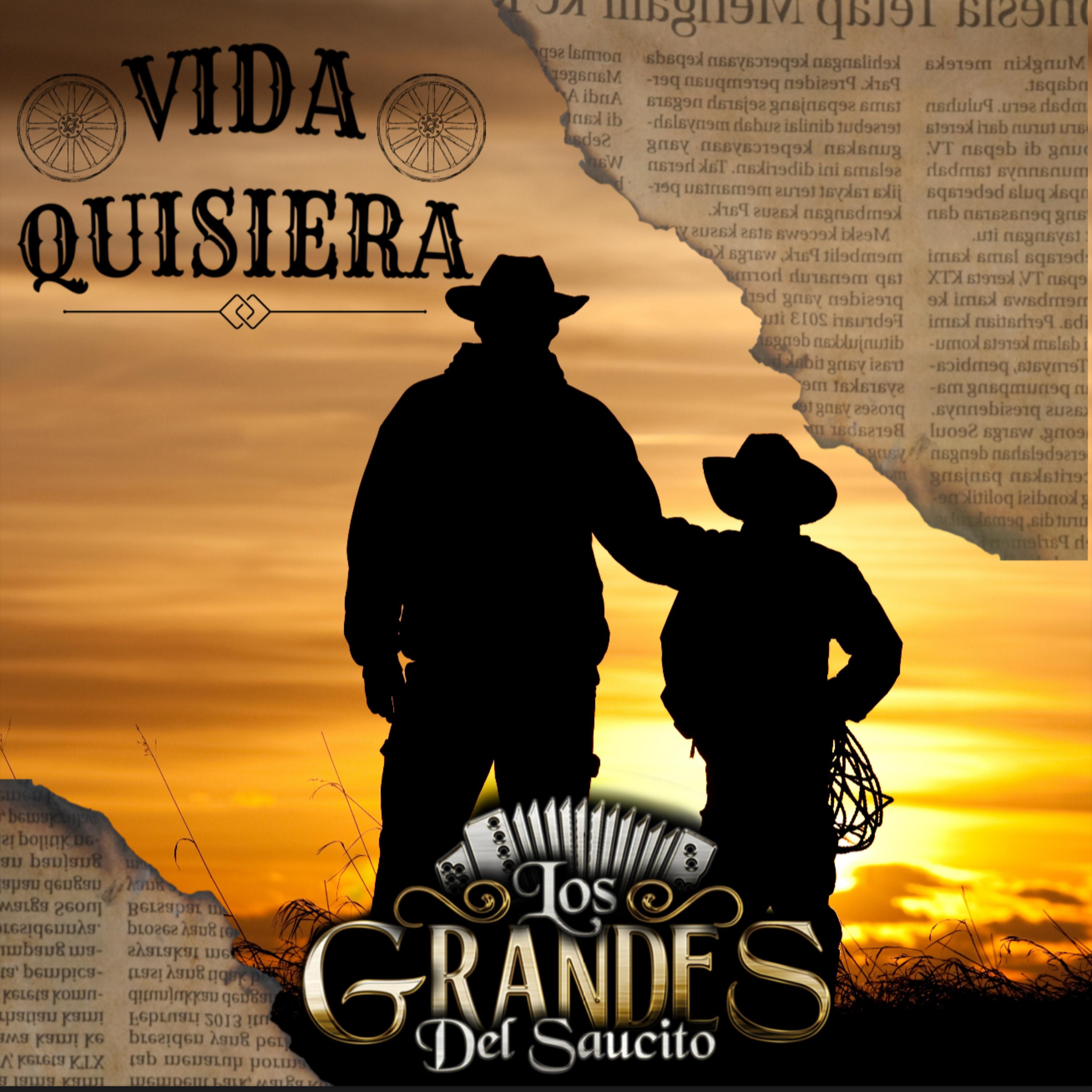 Vida Quisiera artwork