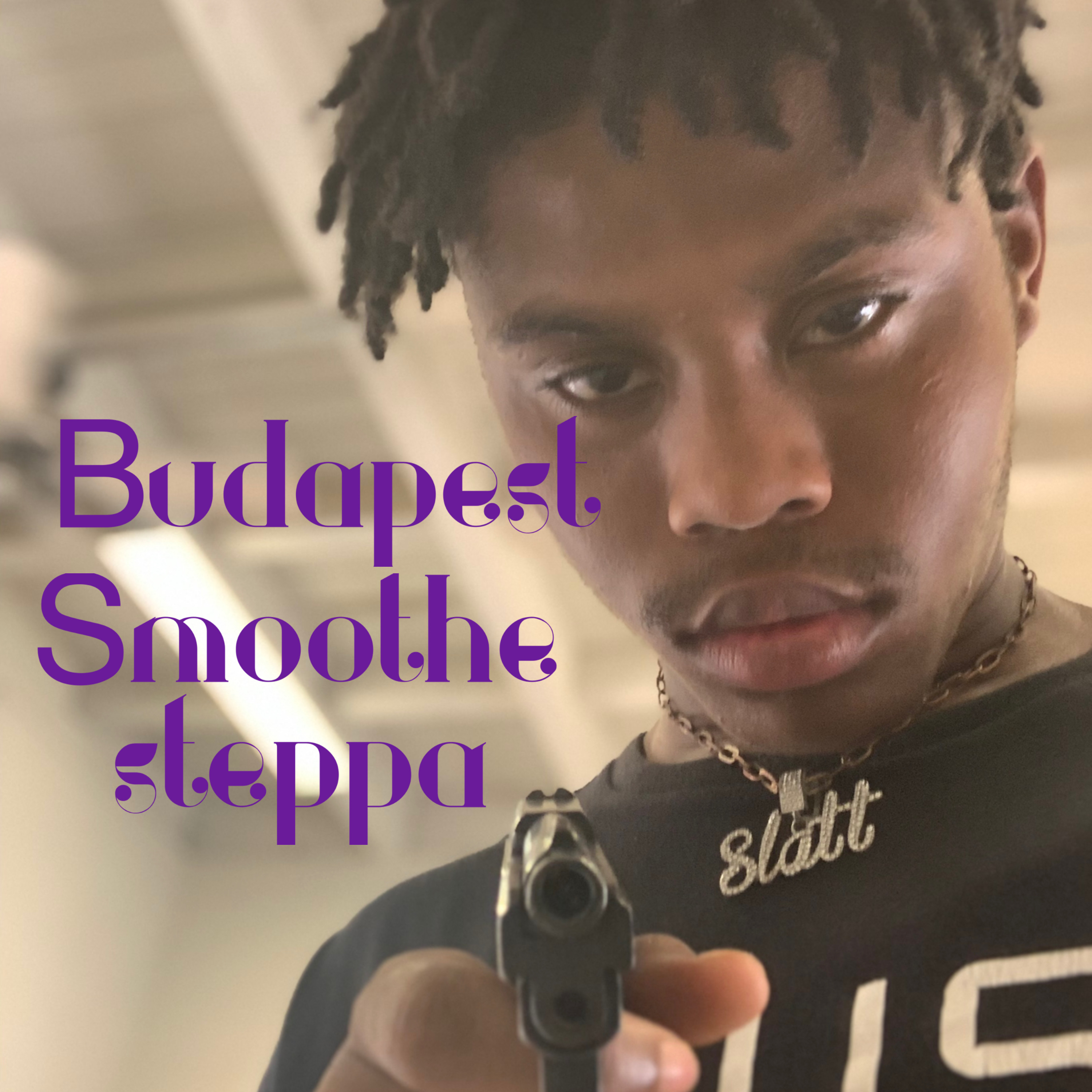 Budapest artwork