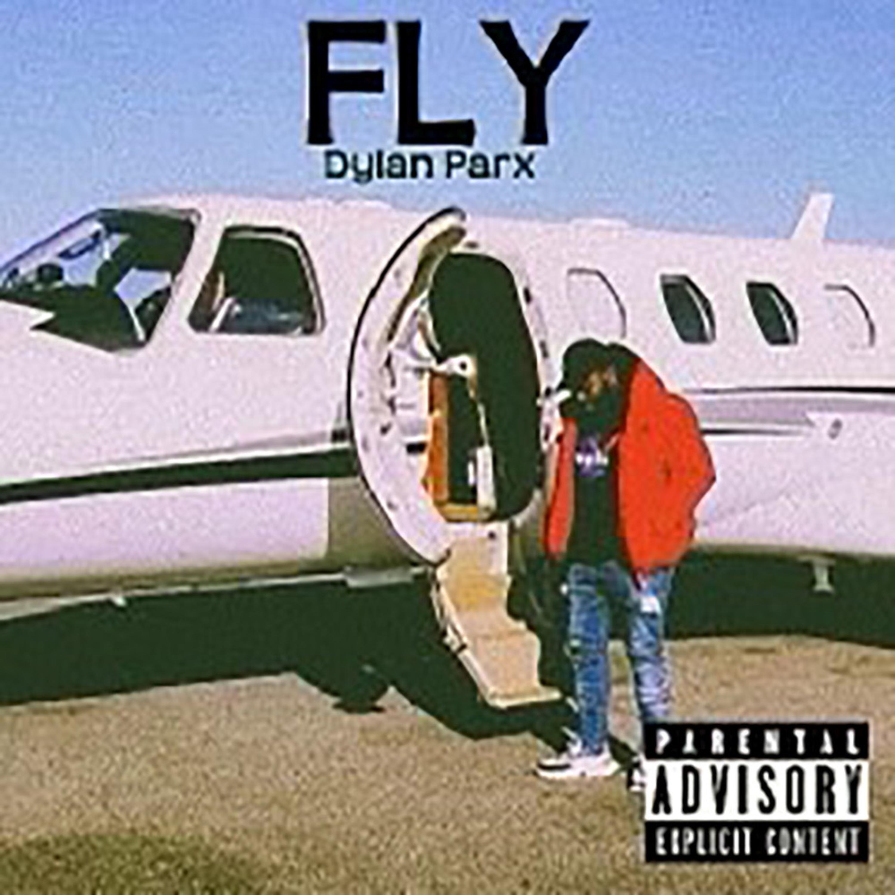 Fly artwork