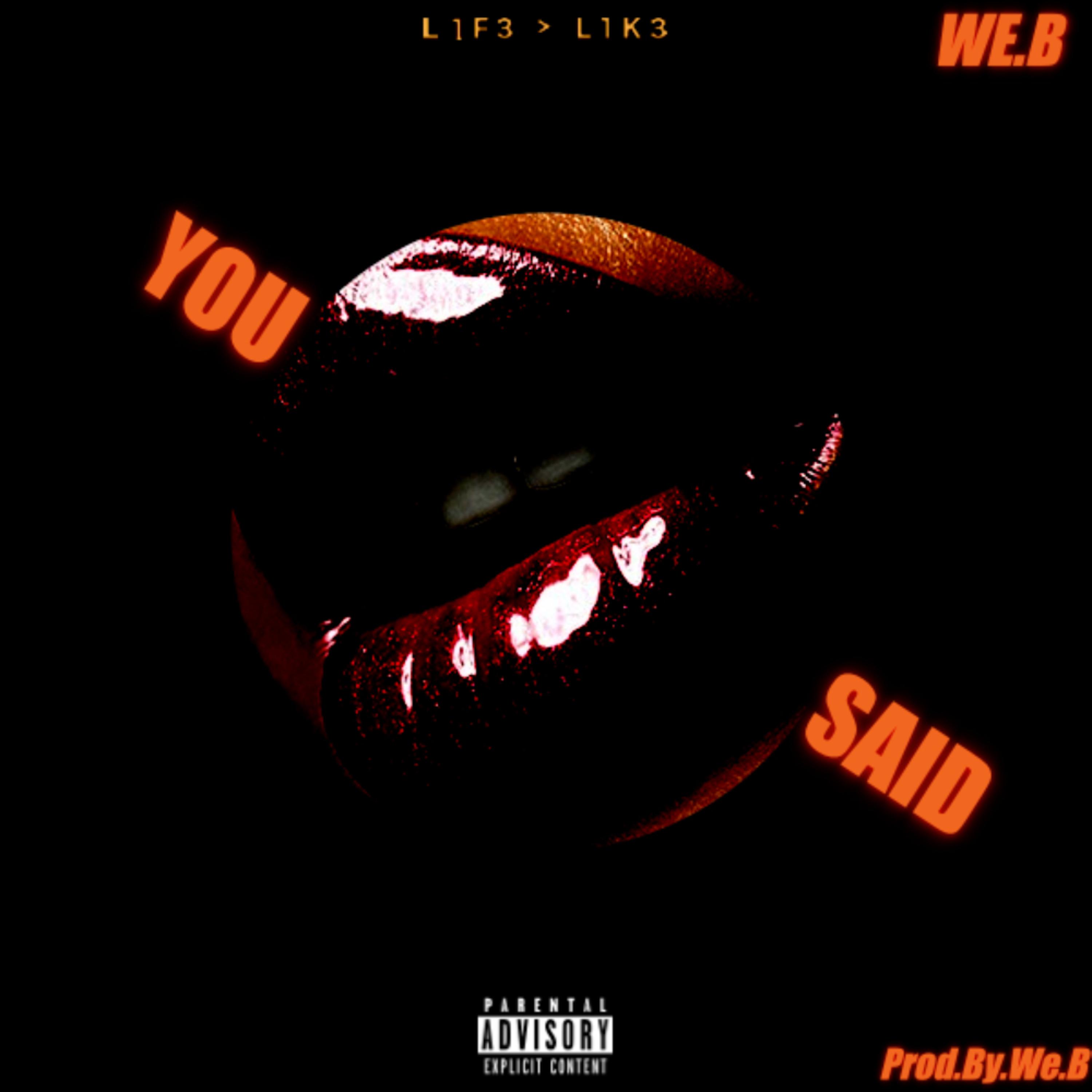 You Said. artwork