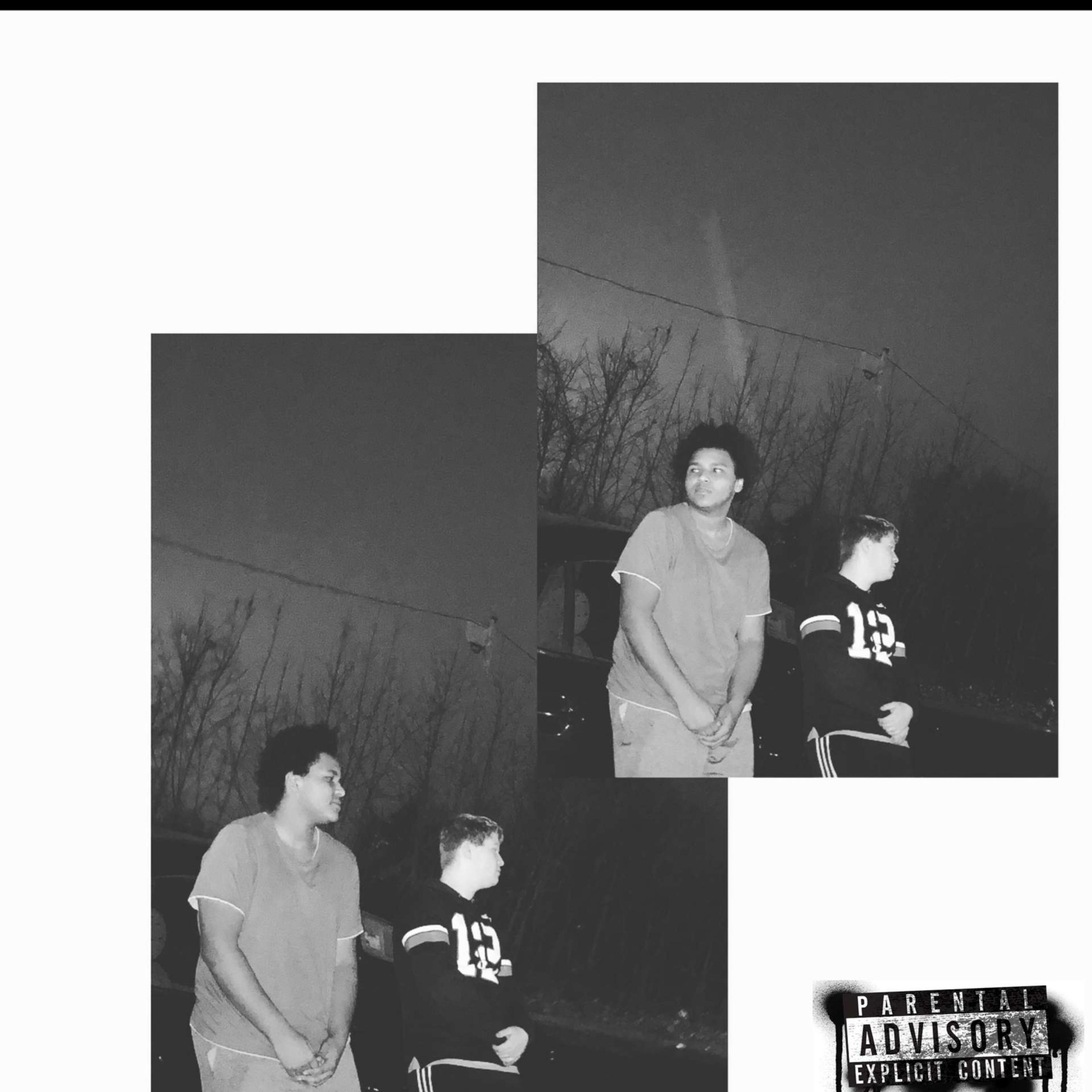 Bullshitin artwork