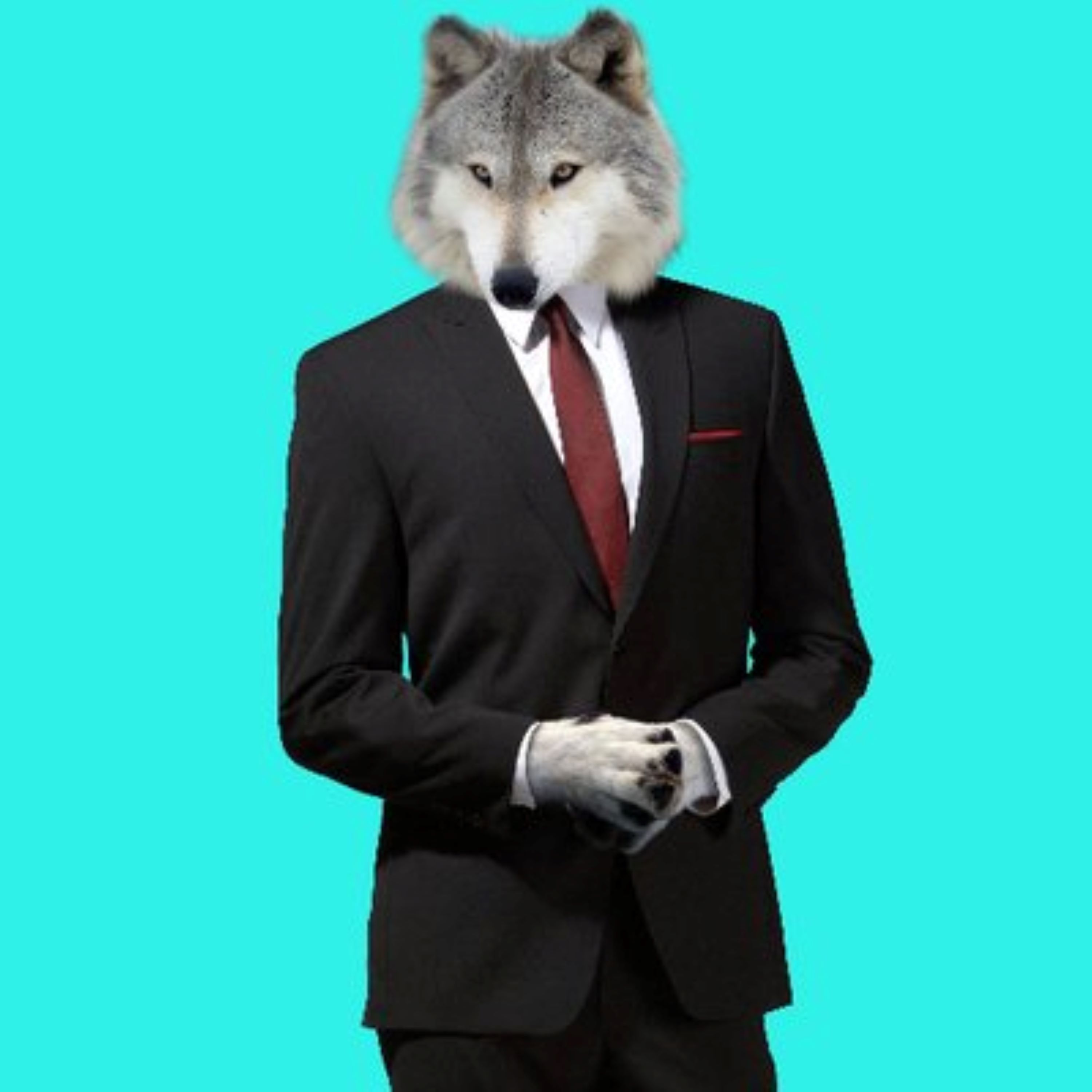 Wolf artwork