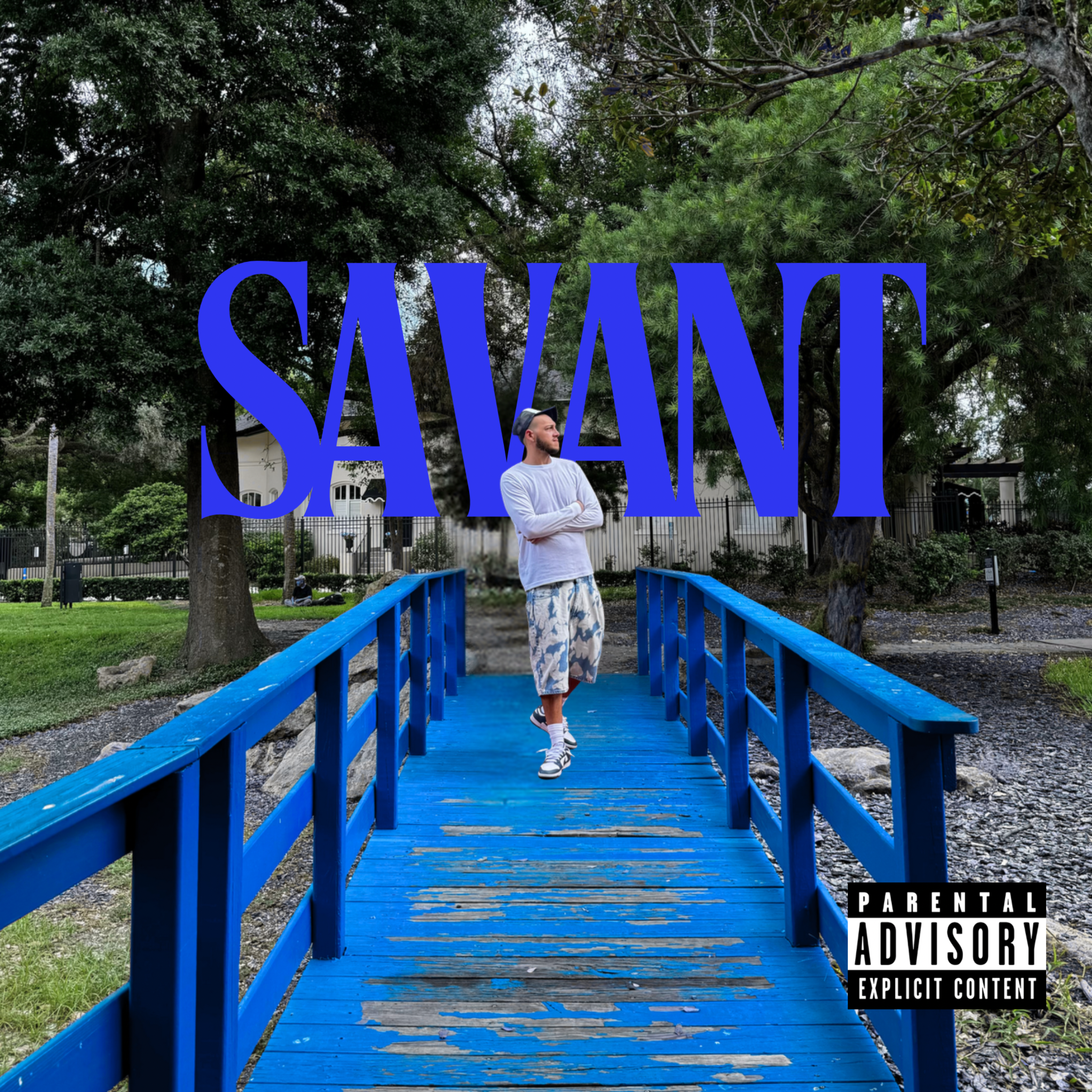 Savant artwork
