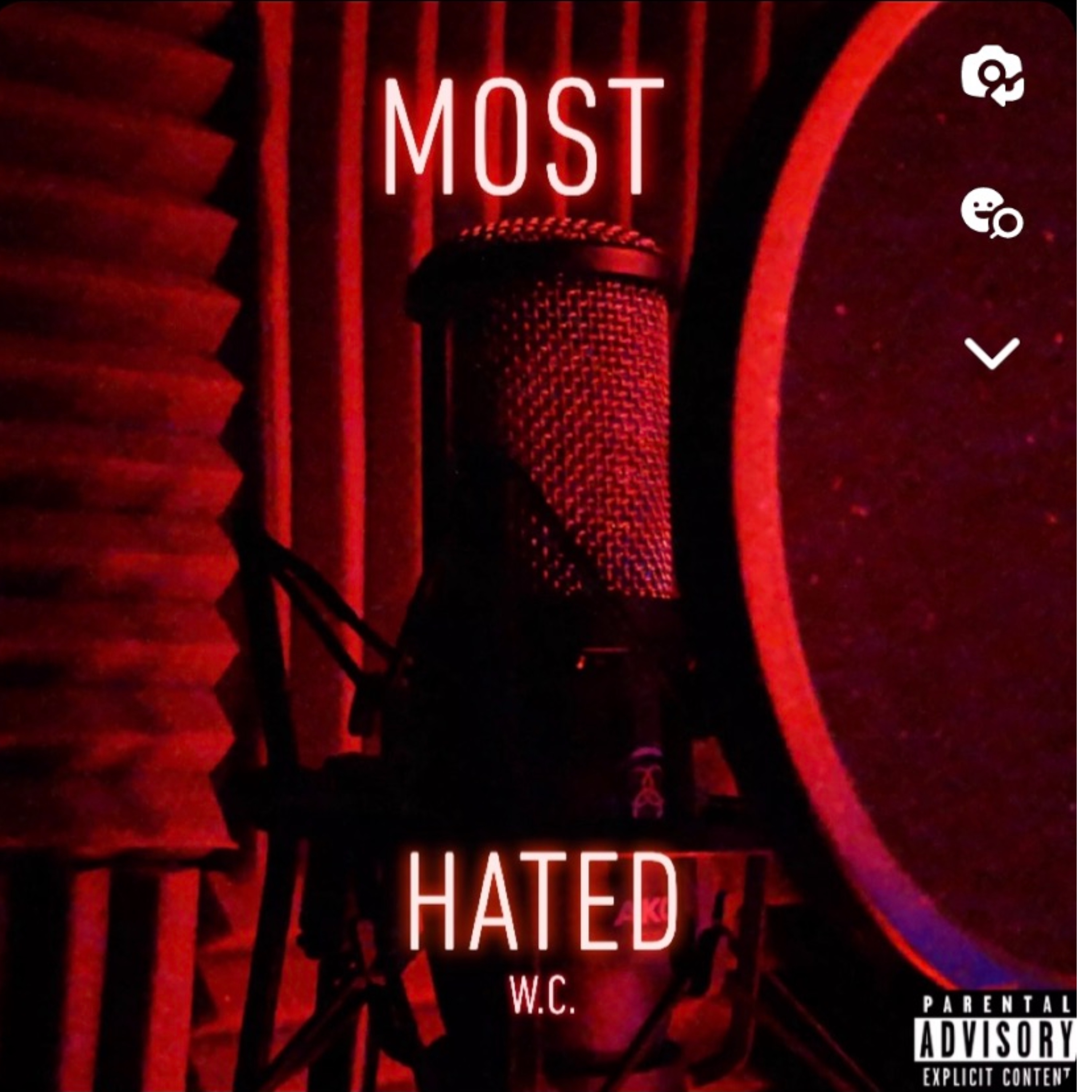 Most Hated artwork