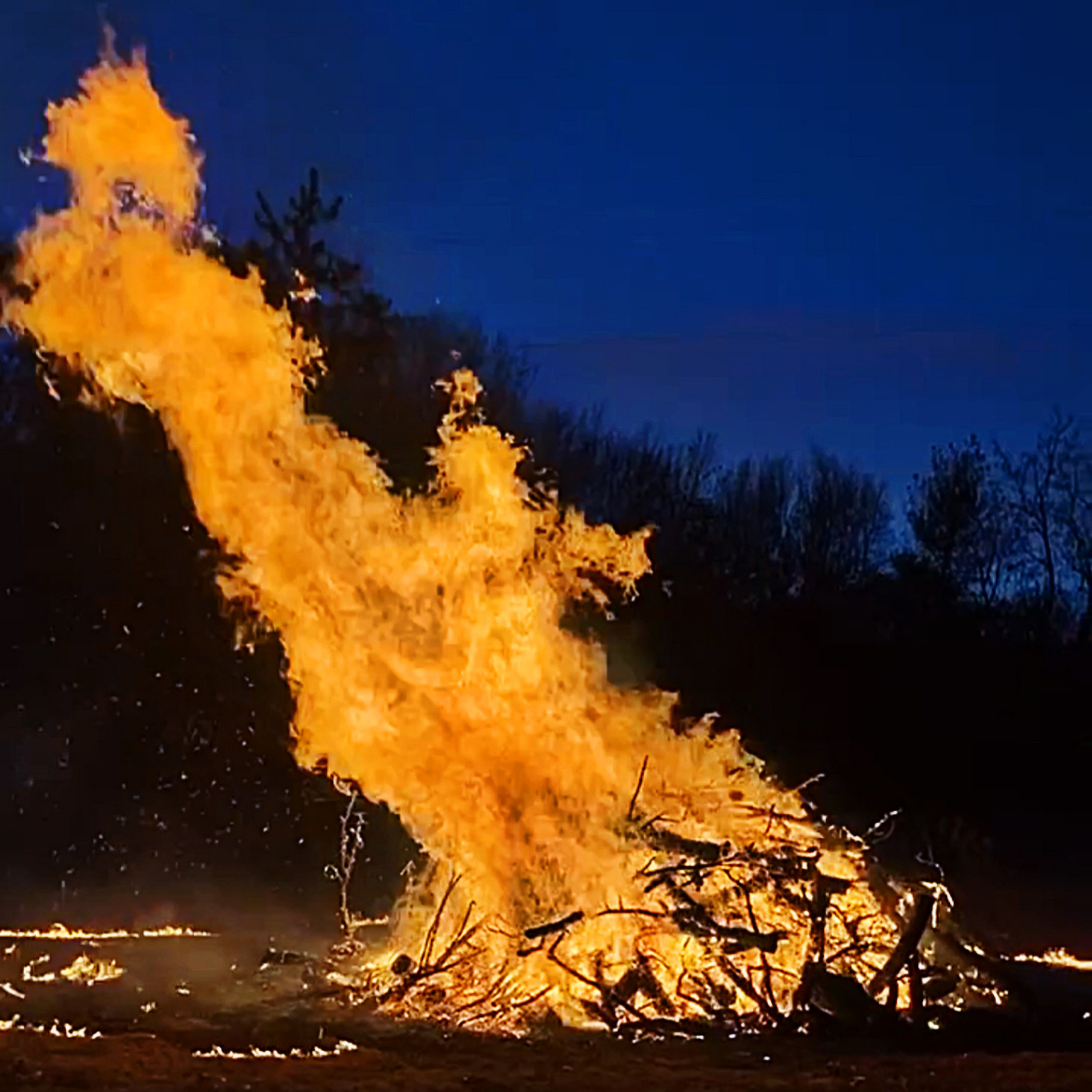 ALREADY DEAD artwork