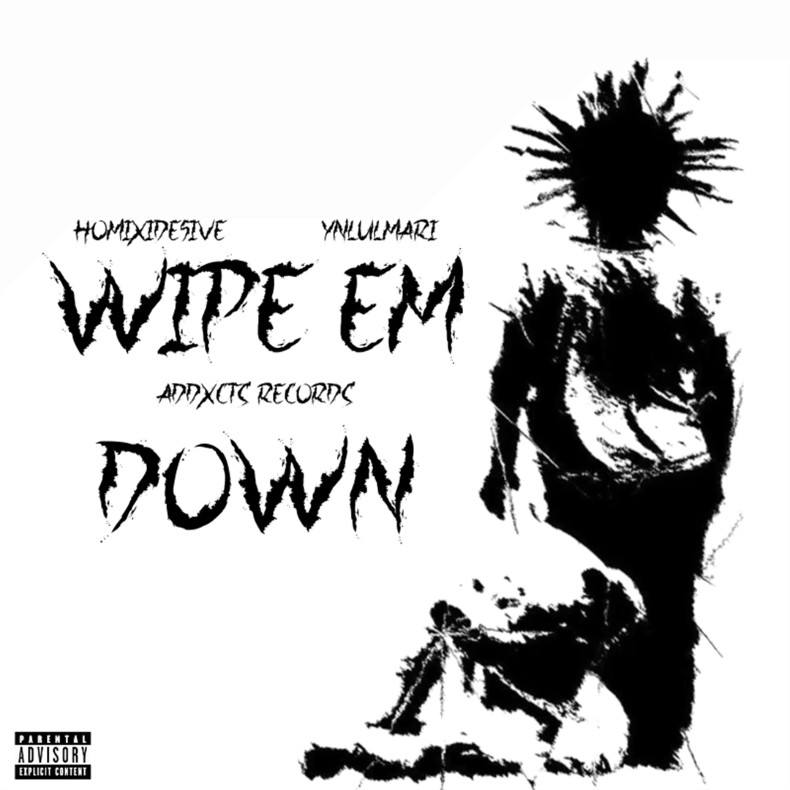WIPE EM DOWN artwork