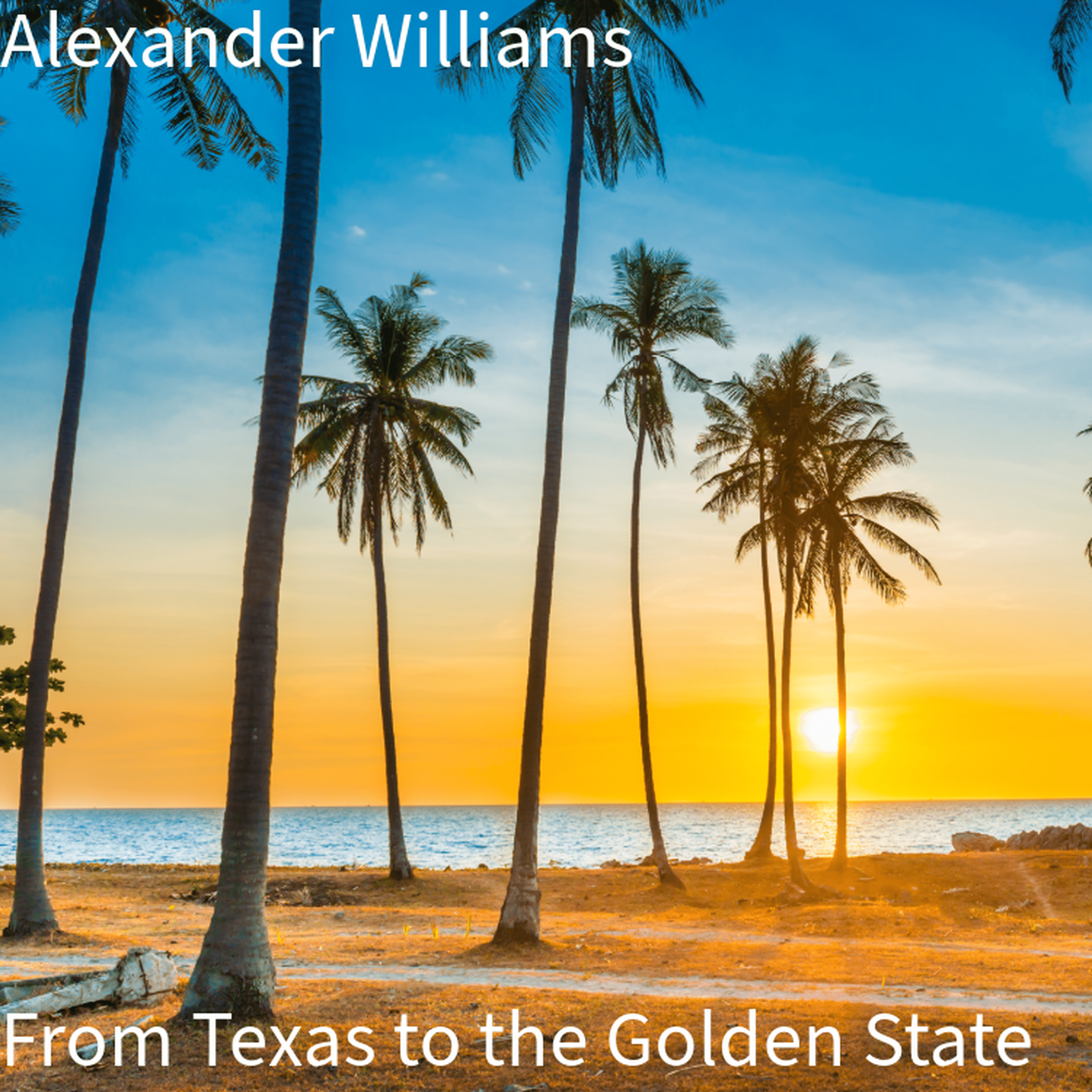 From Texas to the Golden State by Alexander Williams cover art