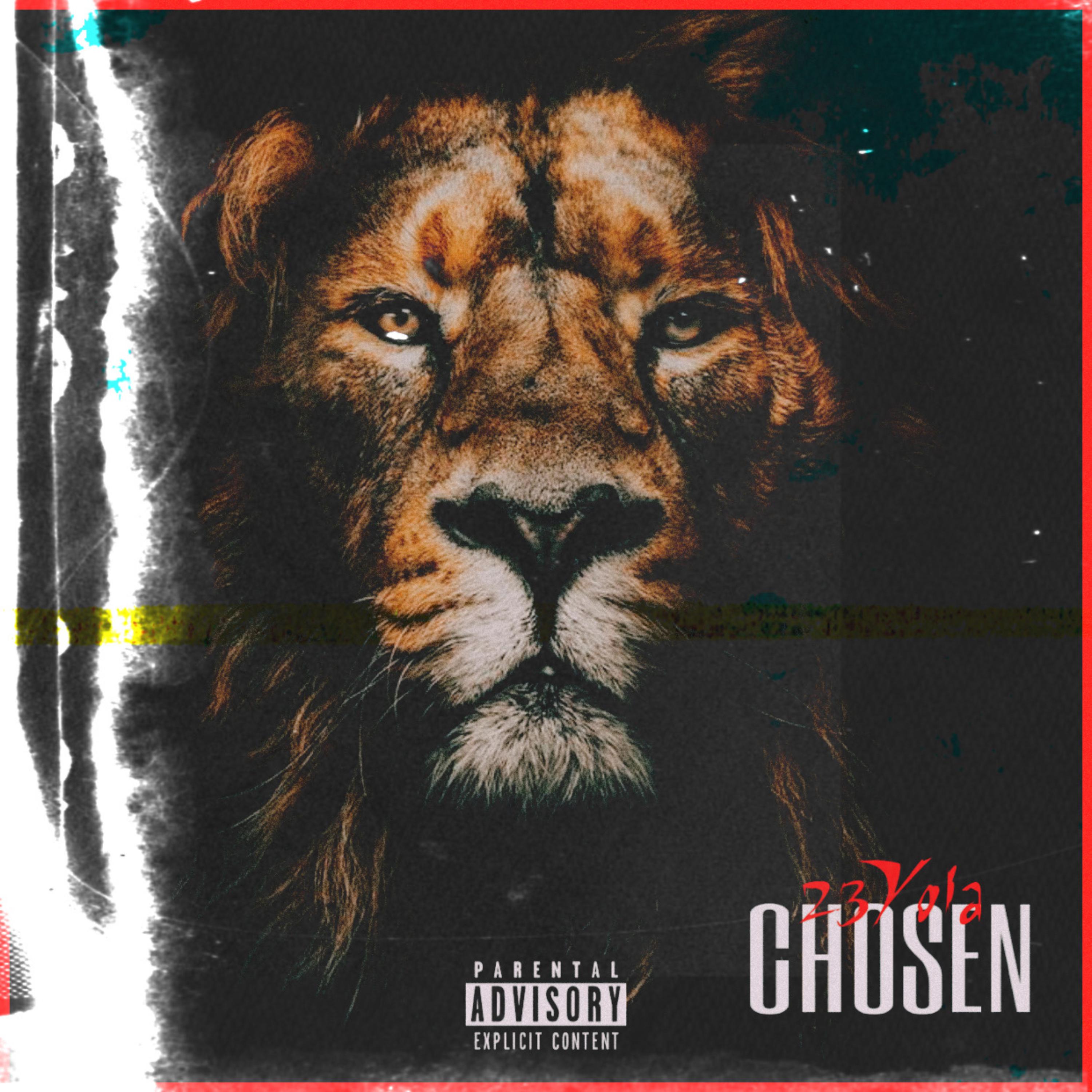Chosen artwork