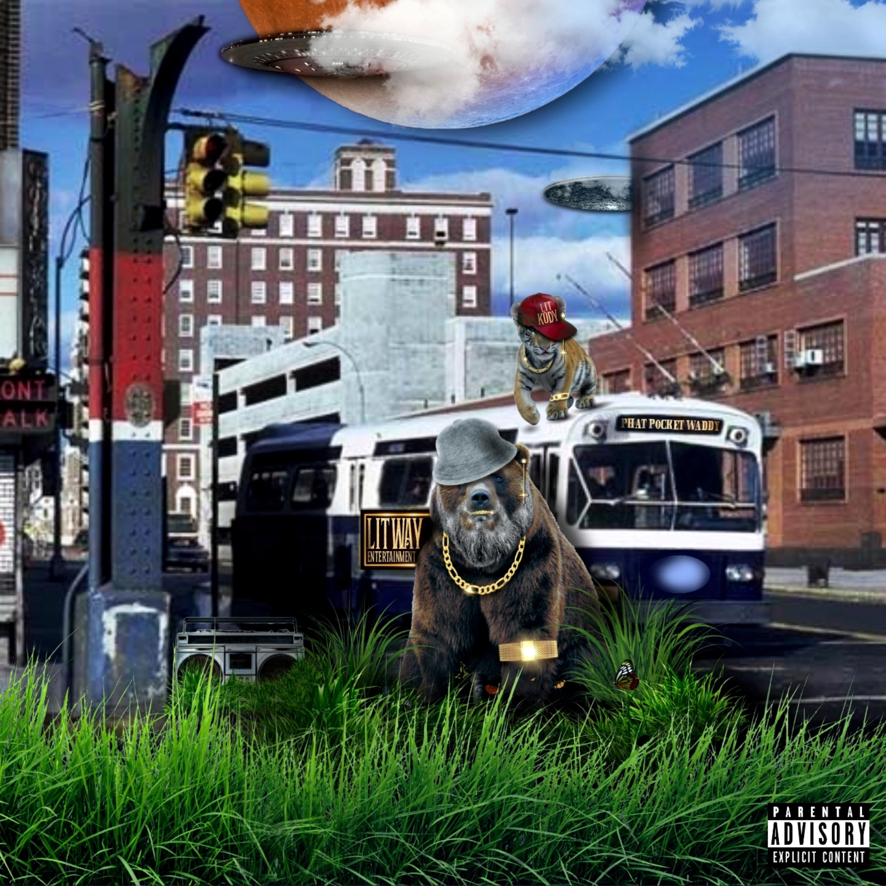 PHAT POCKET WADDY artwork