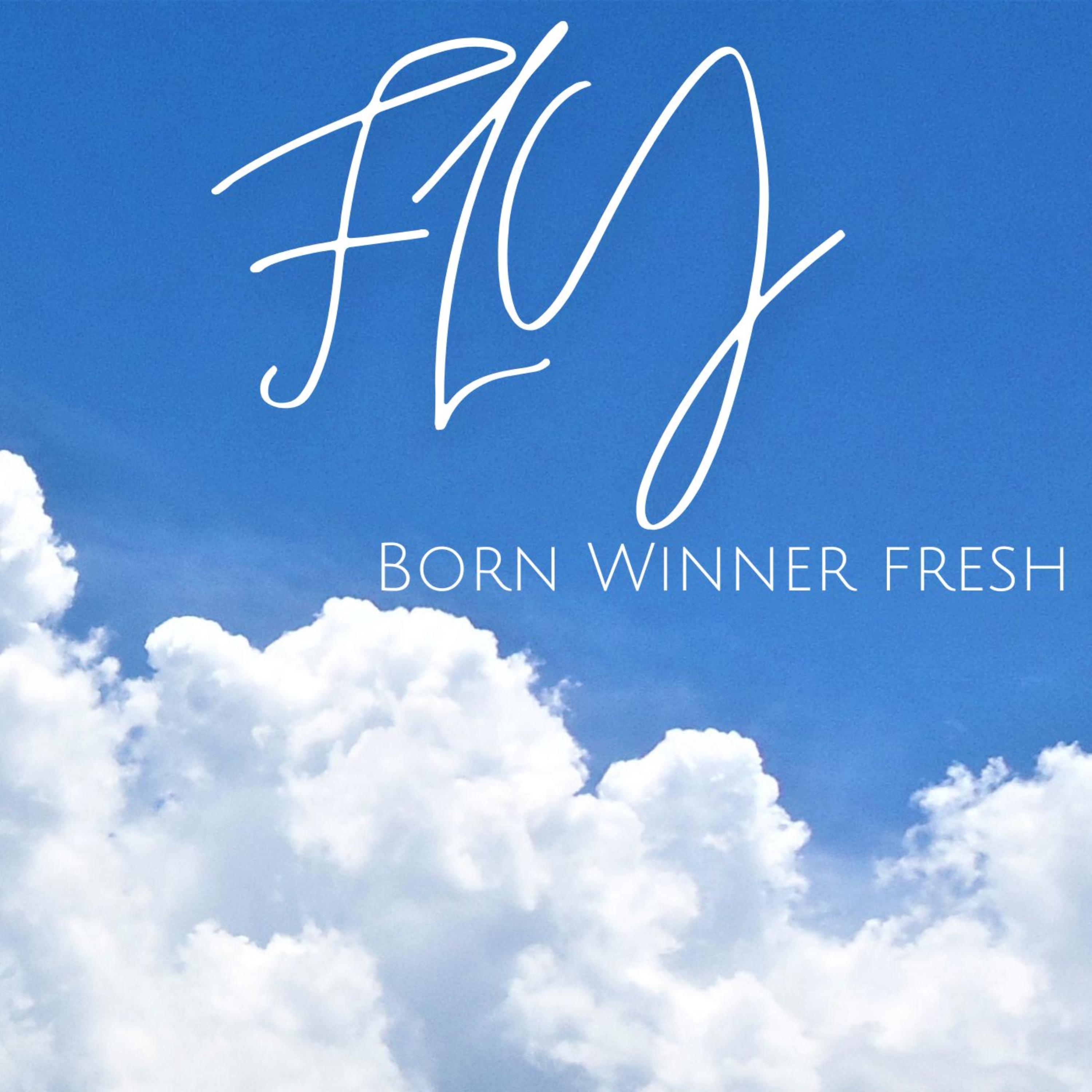Fly artwork