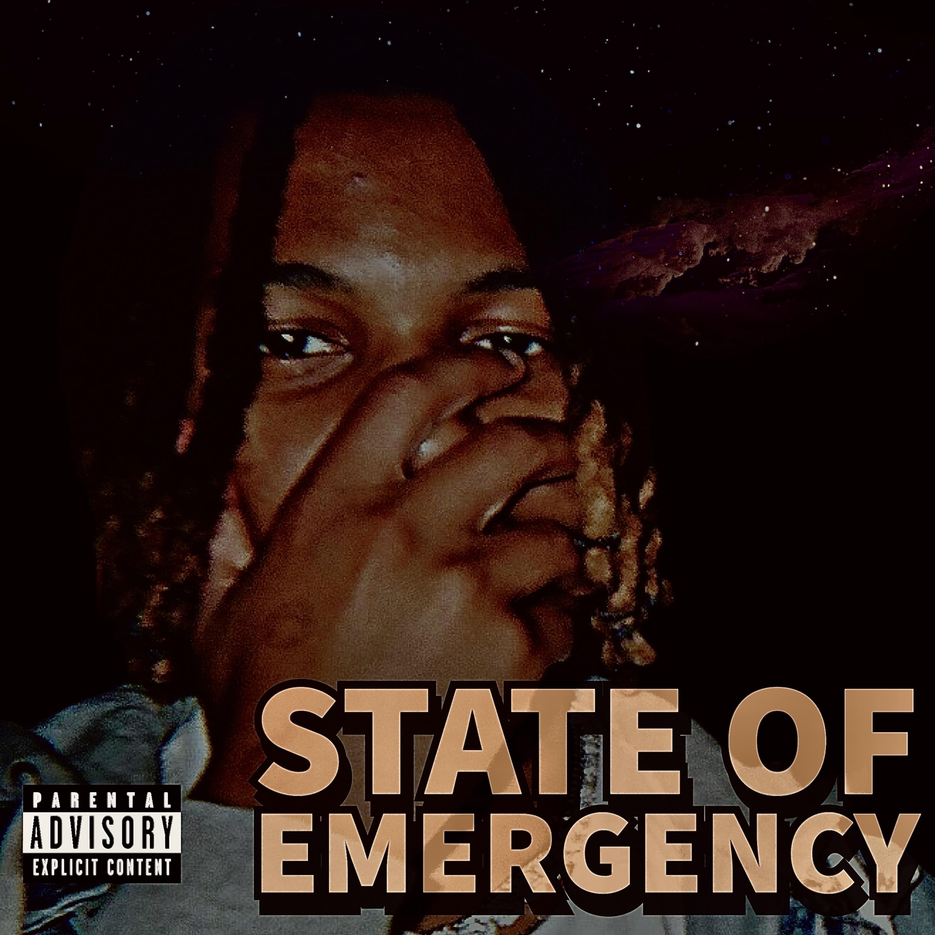 State Of Emergency artwork