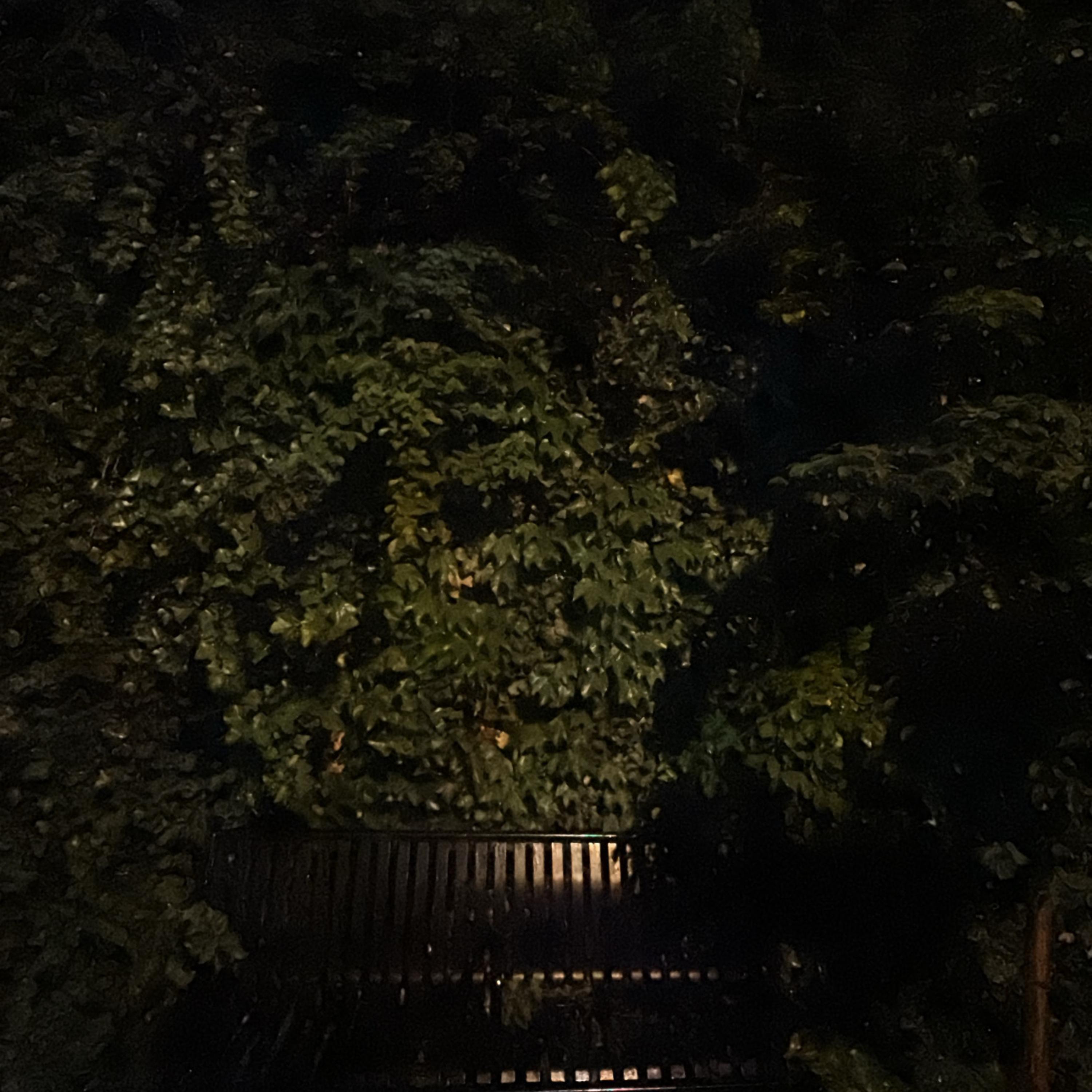 Stop The Yap artwork